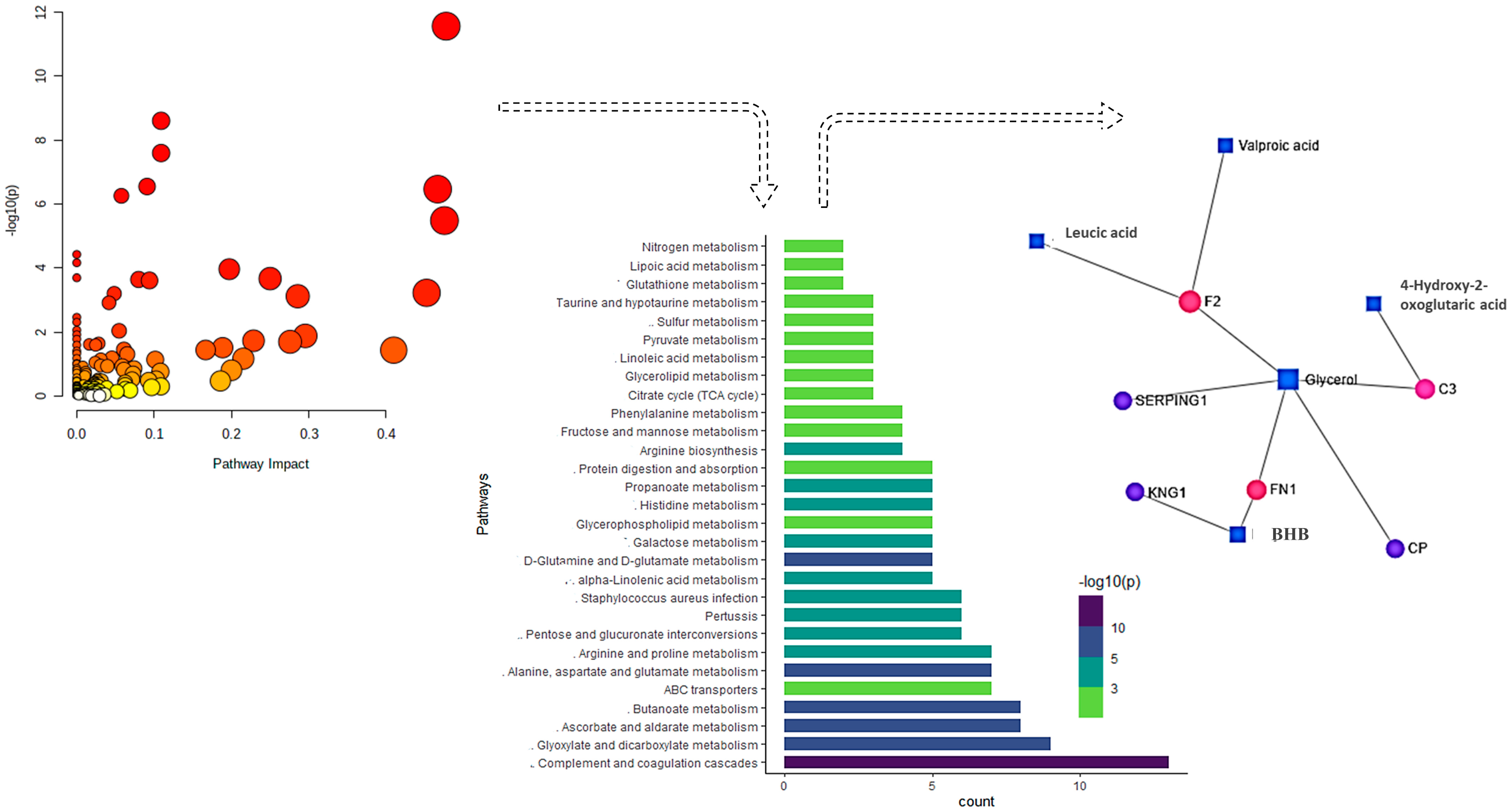 Metabolites 11 00842 g007
