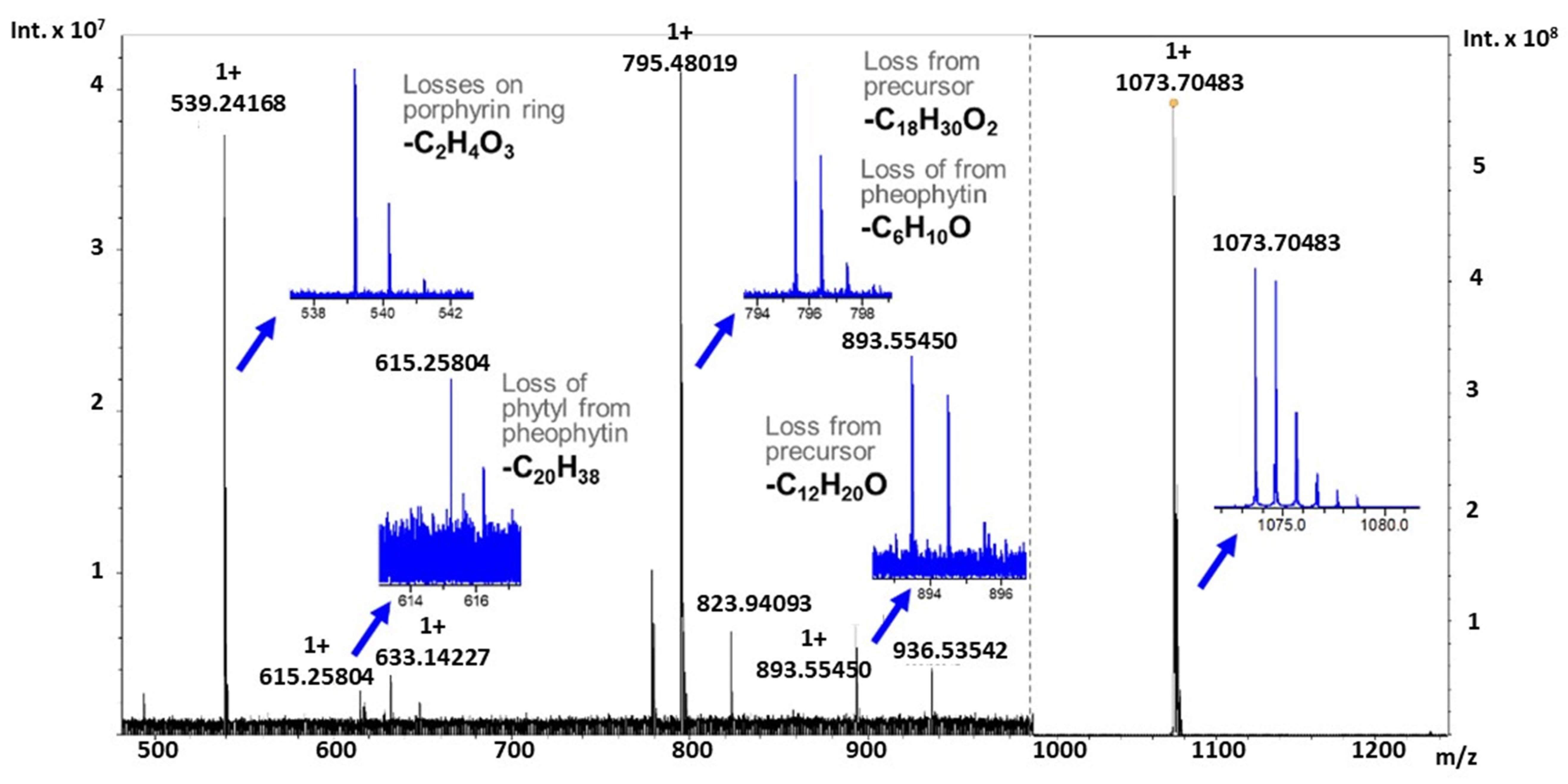 Metabolites 11 00843 g005 Metabolites 11 00843 g005