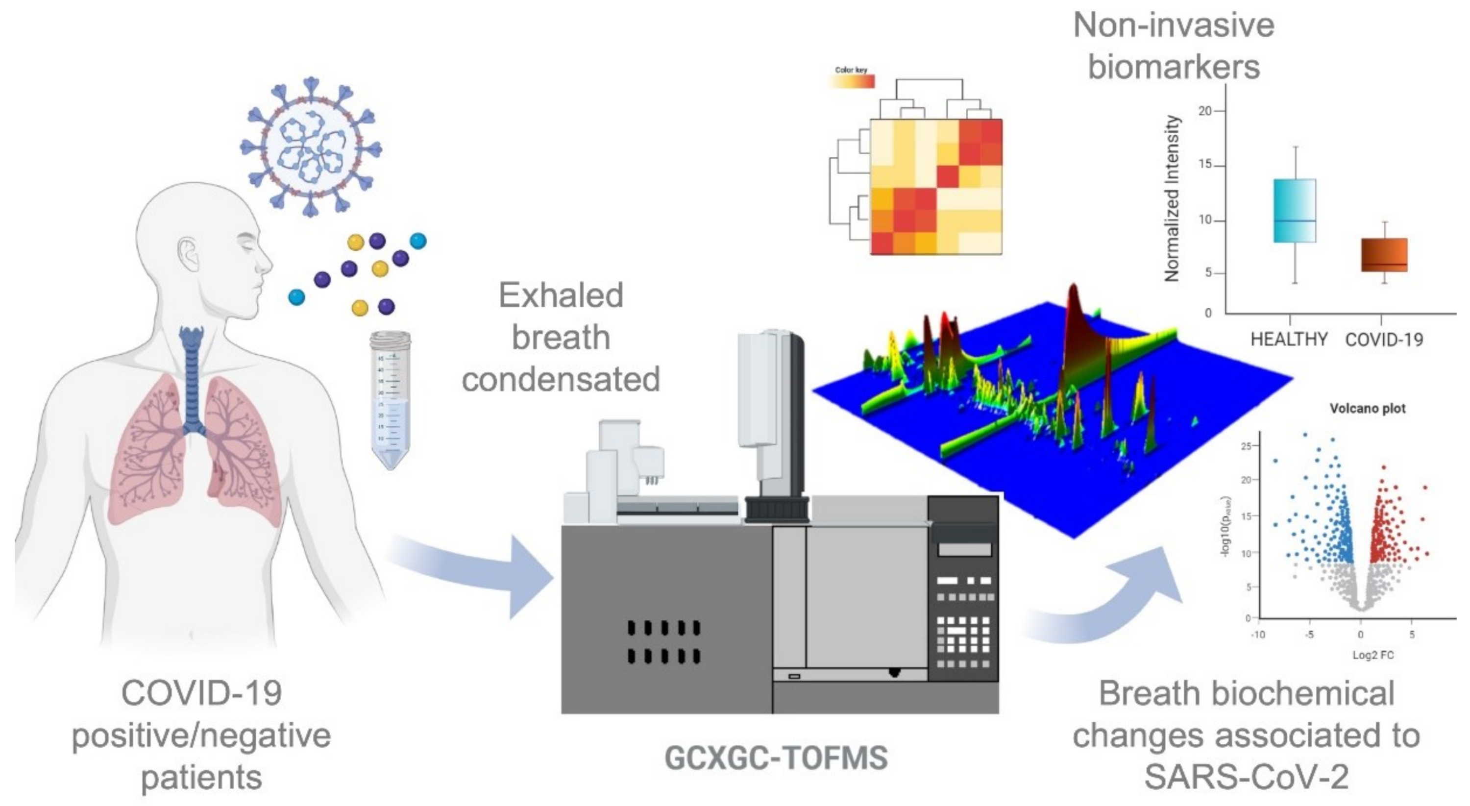 Metabolites 11 00847 g001