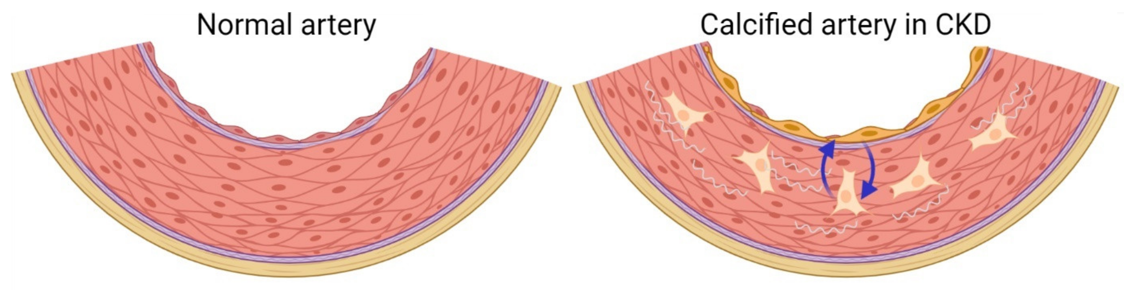 Metabolites 11 00849 g001