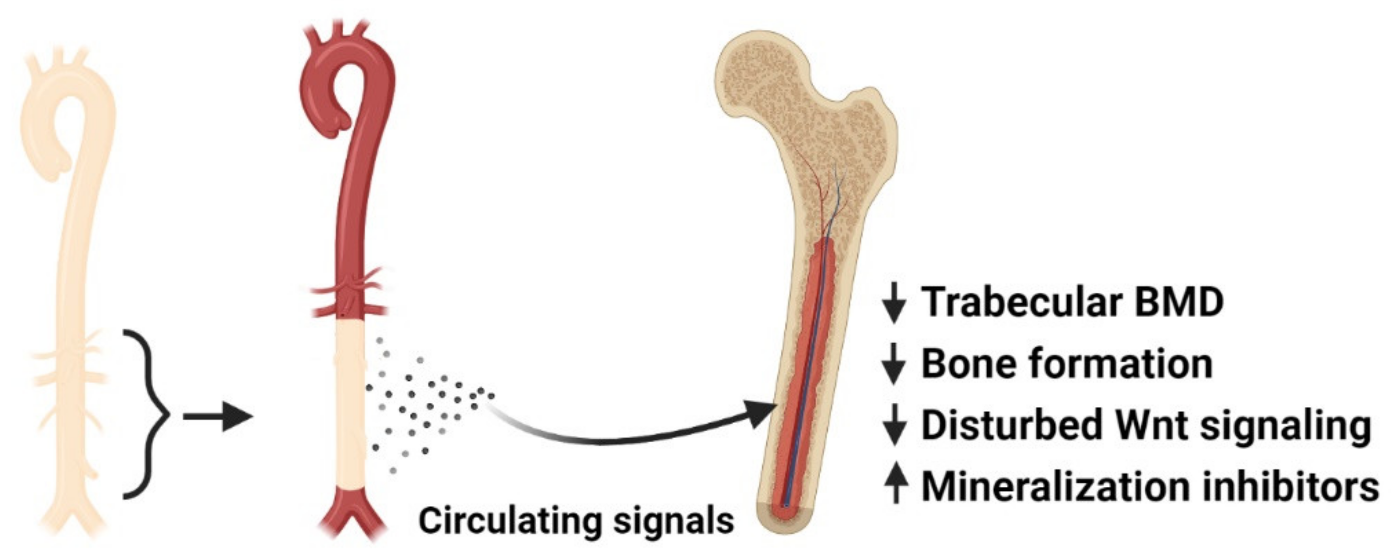 Metabolites 11 00849 g002