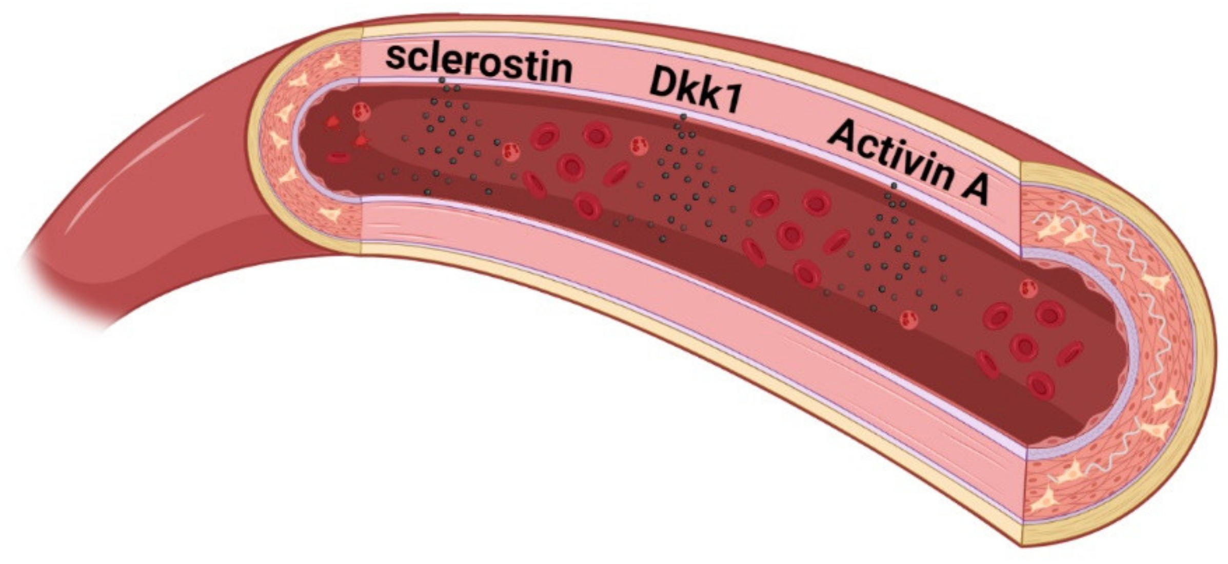 Metabolites 11 00849 g003