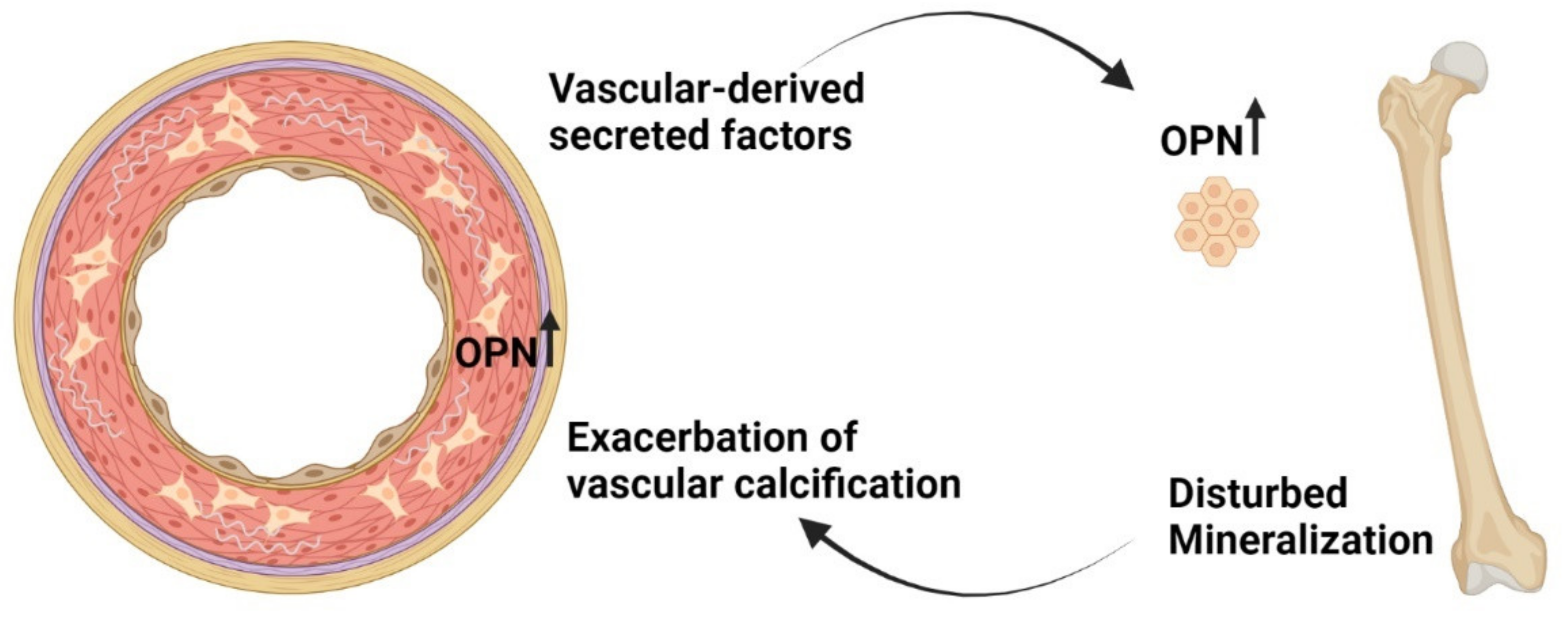 Metabolites 11 00849 g004
