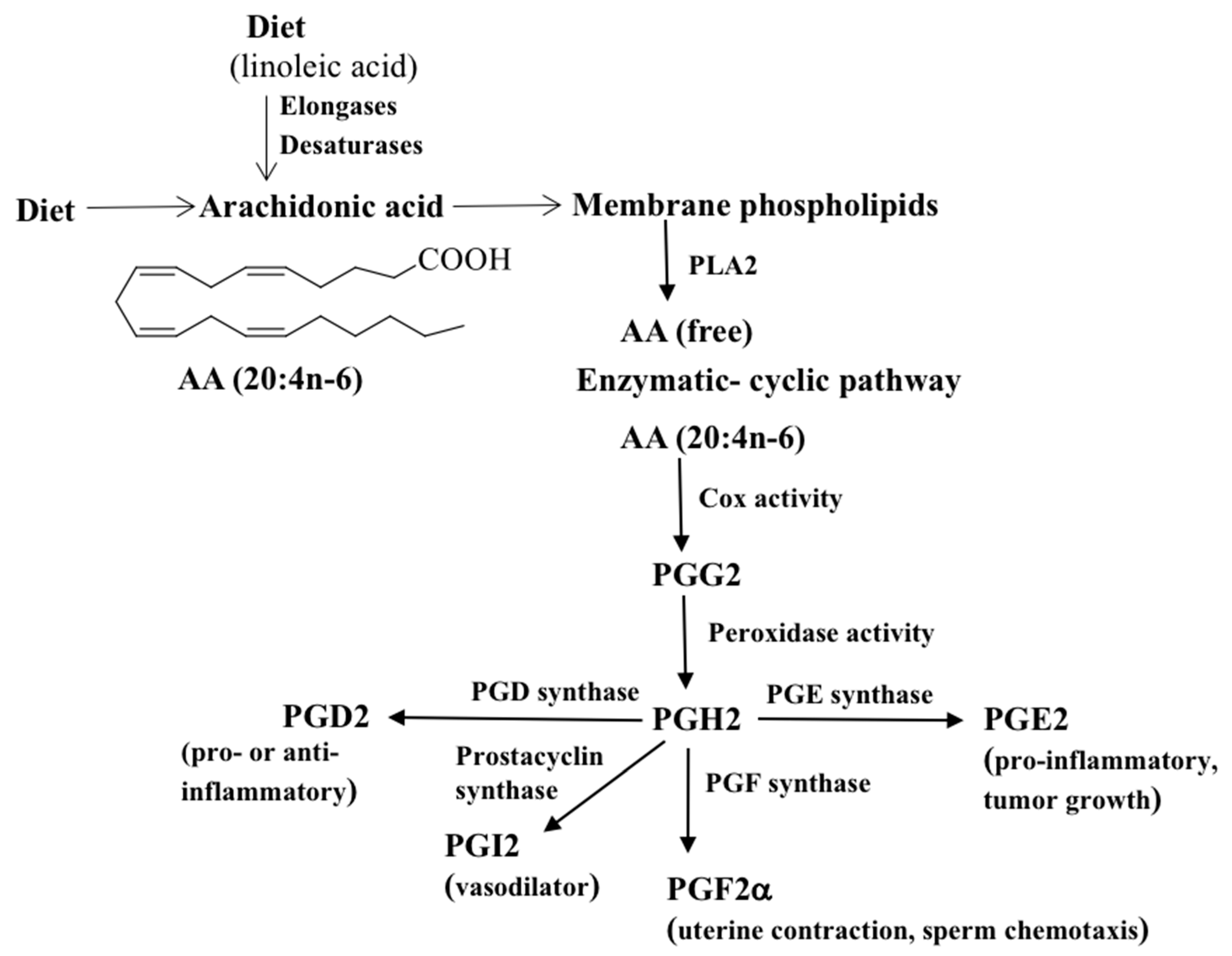 Metabolites 11 00853 g001 Metabolites 11 00853 g001
