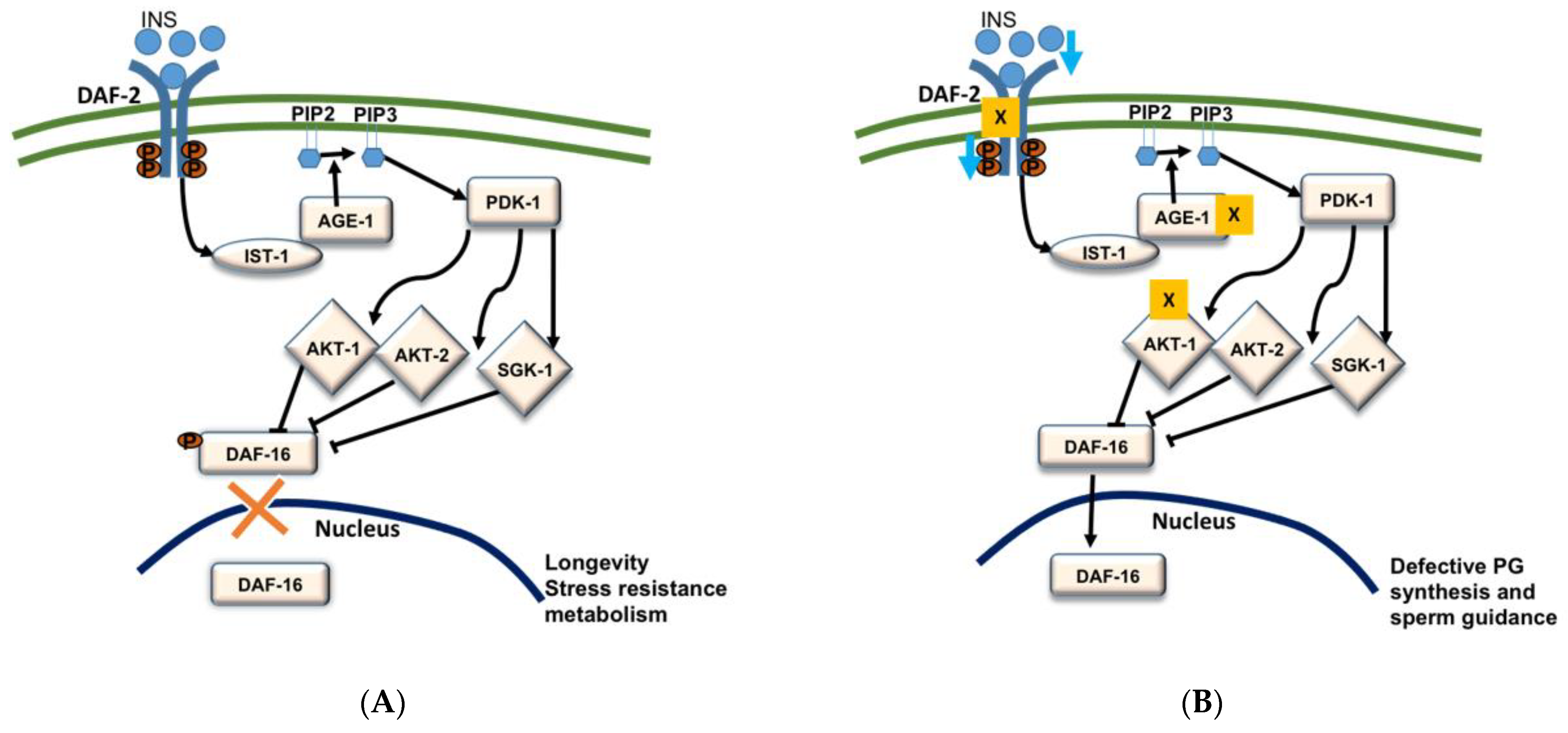 Metabolites 11 00853 g003 Metabolites 11 00853 g003