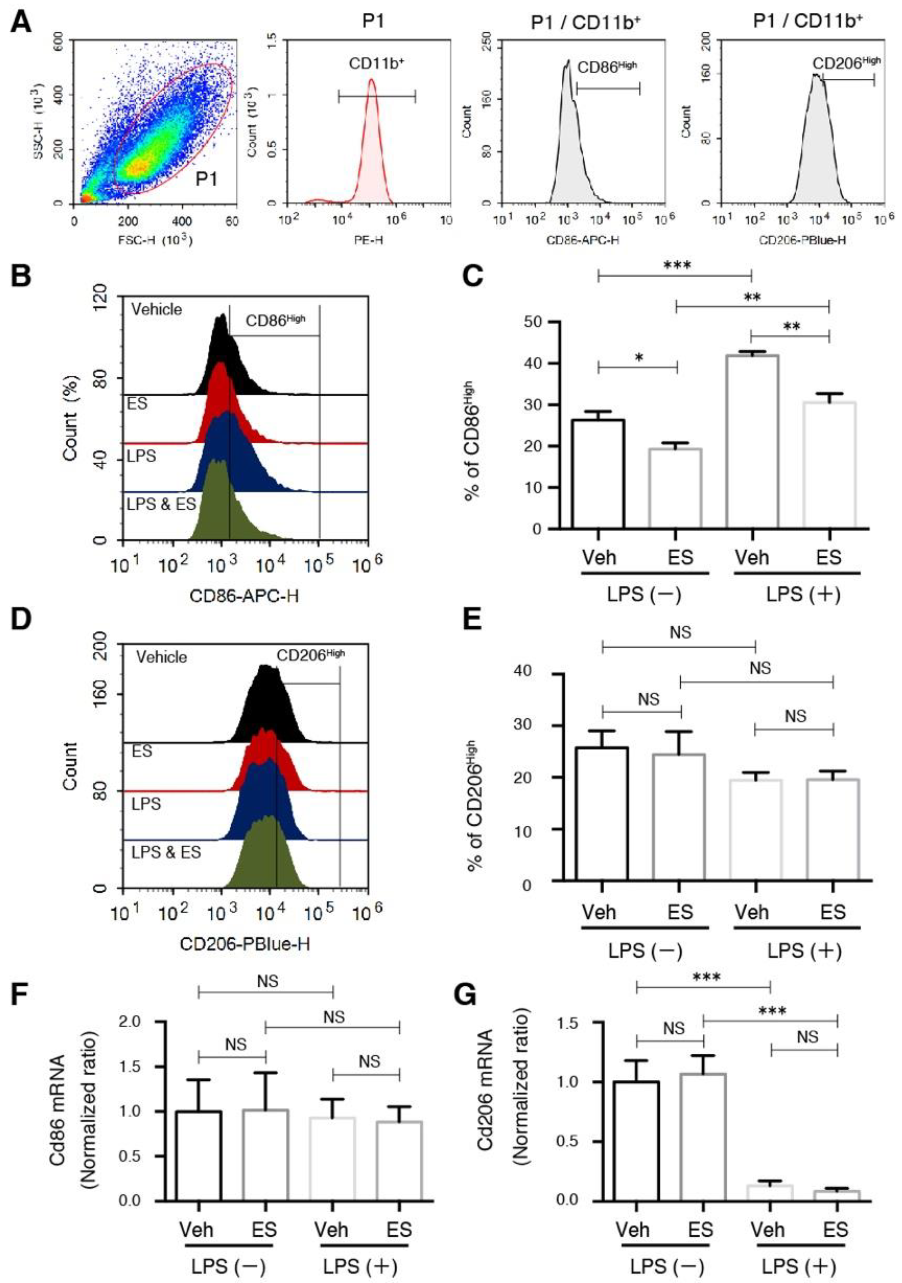 Metabolites 11 00854 g001 550