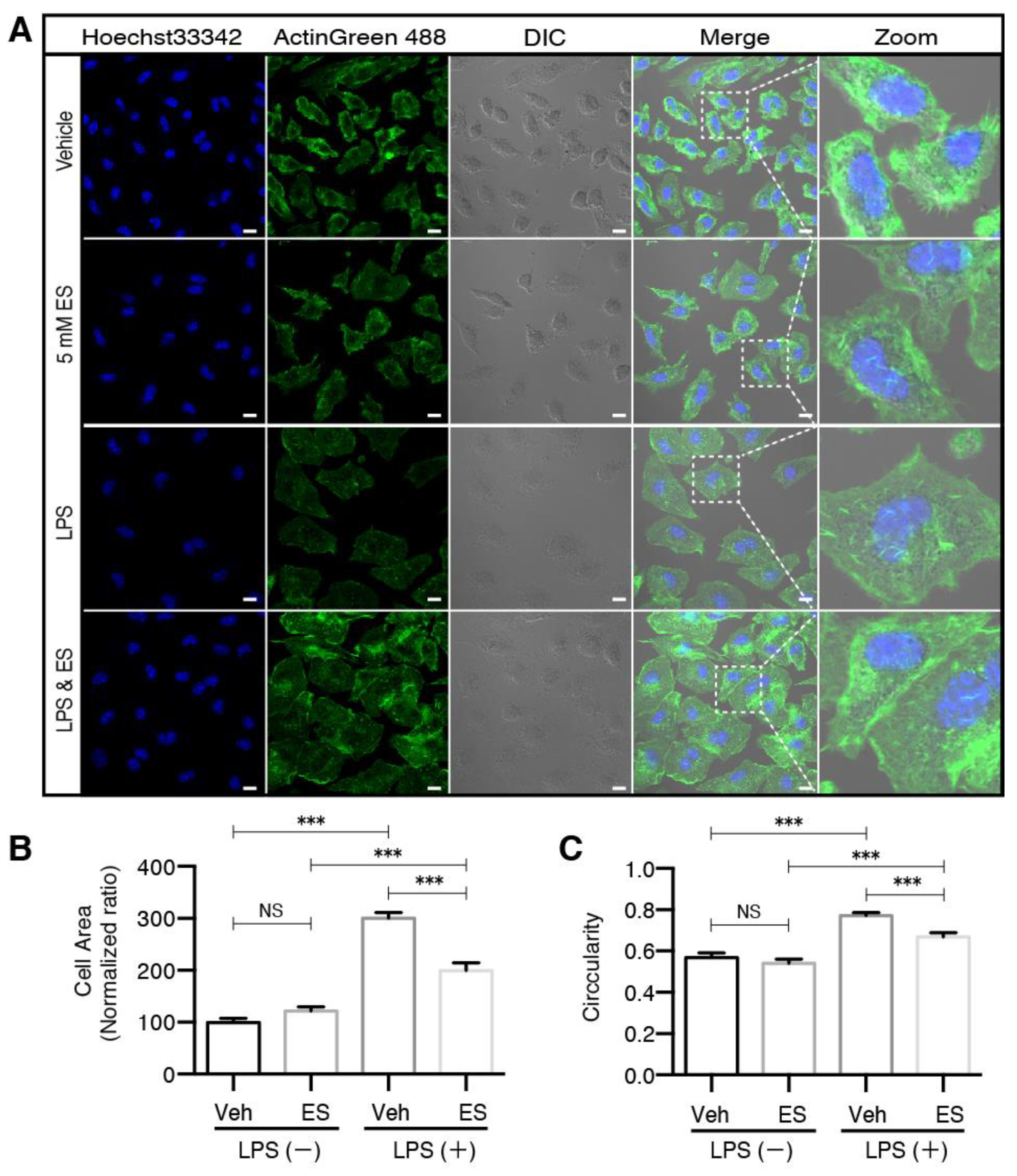 Metabolites 11 00854 g003 550