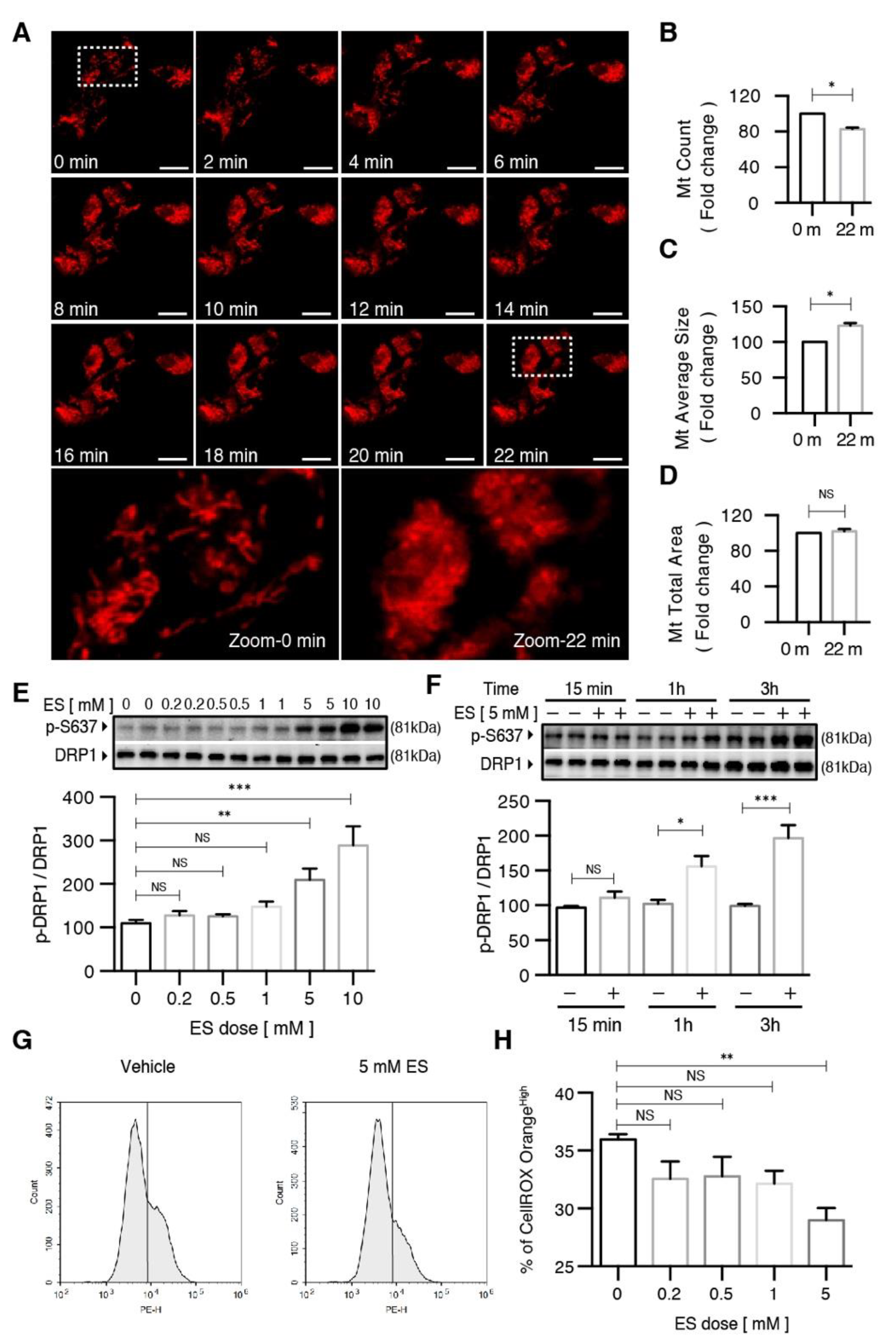 Metabolites 11 00854 g004 550
