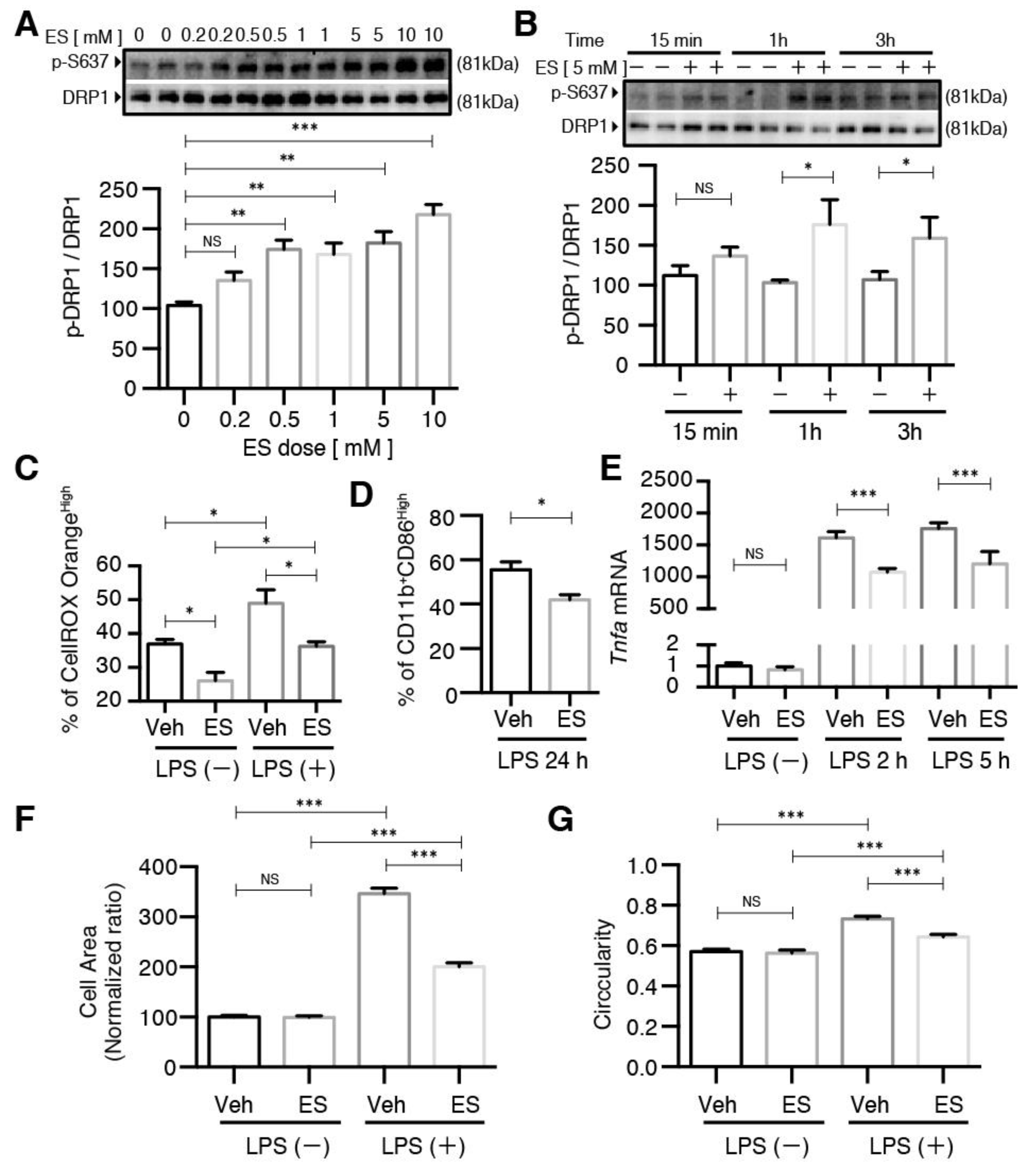 Metabolites 11 00854 g006 550