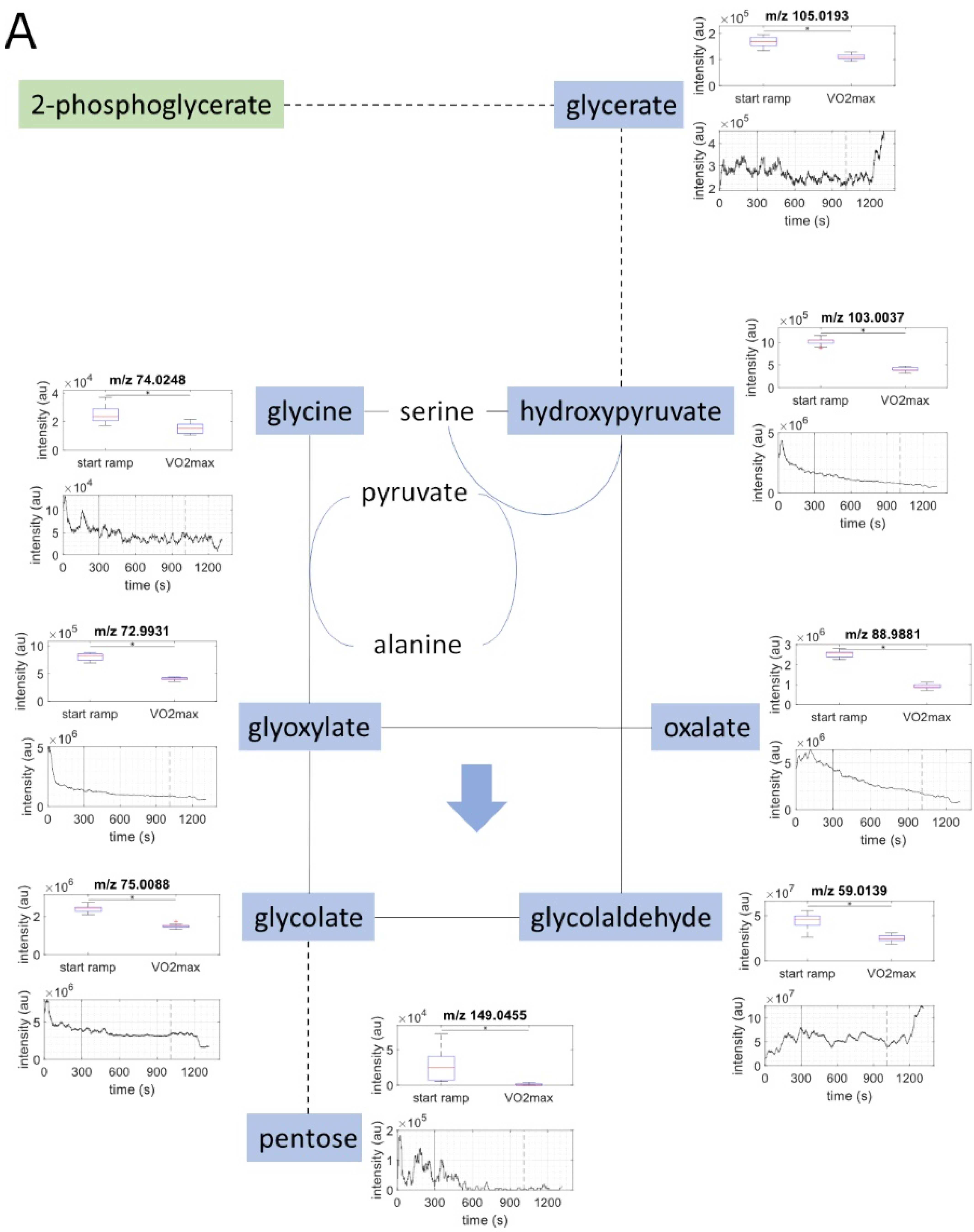 Metabolites 11 00856 g001a Metabolites 11 00856 g001a