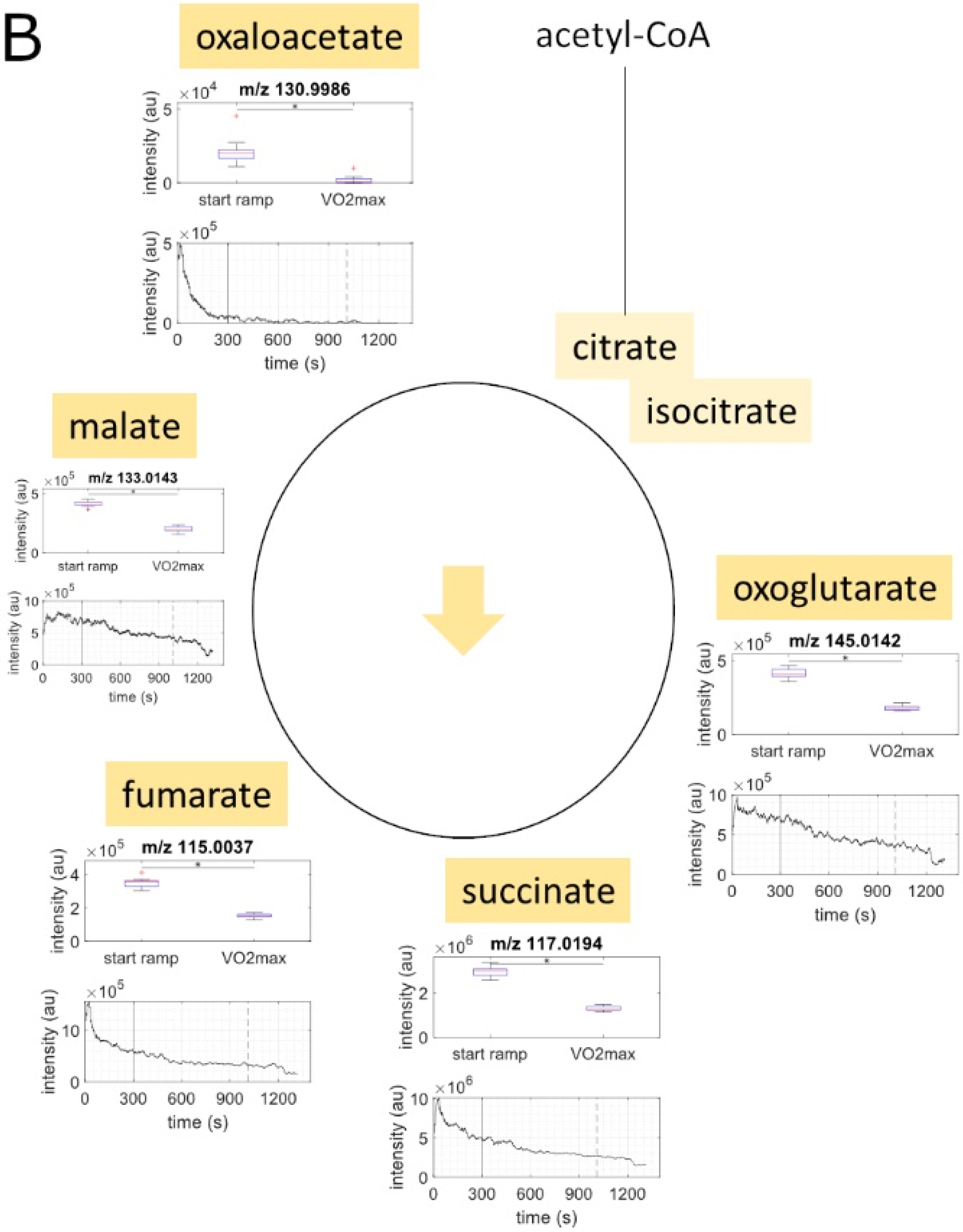 Metabolites 11 00856 g001b Metabolites 11 00856 g001b