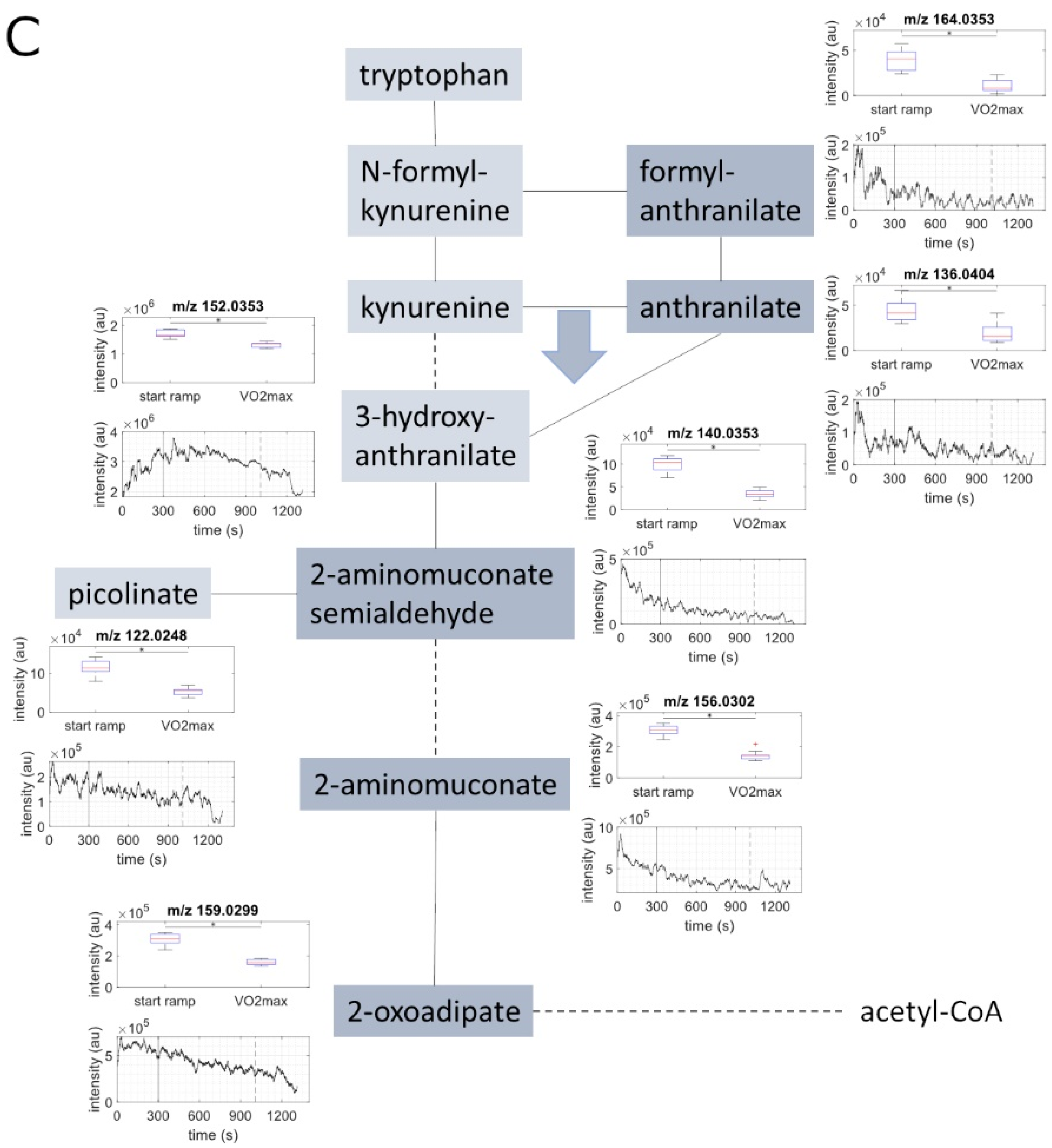 Metabolites 11 00856 g001c Metabolites 11 00856 g001c