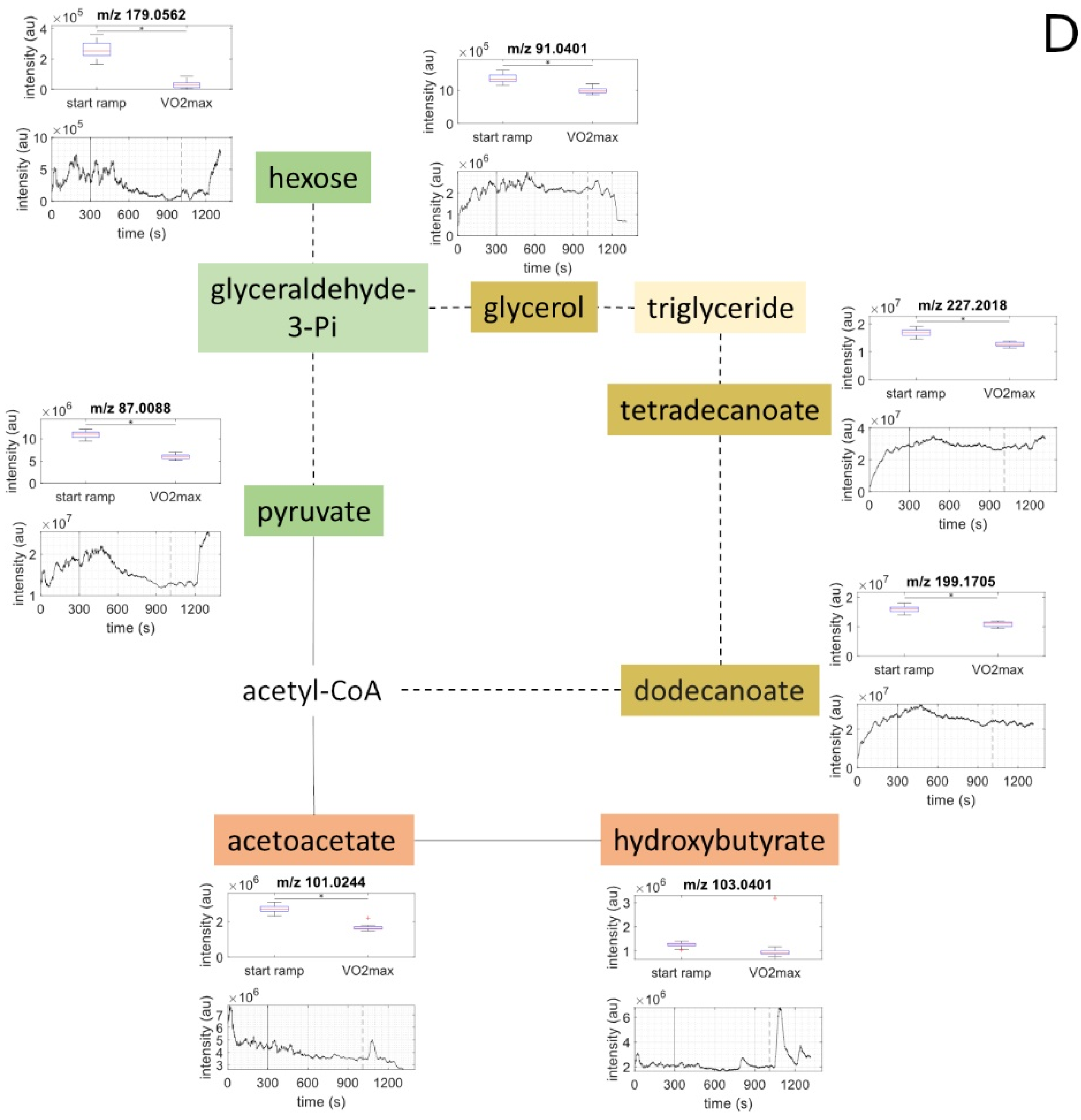 Metabolites 11 00856 g001d Metabolites 11 00856 g001d