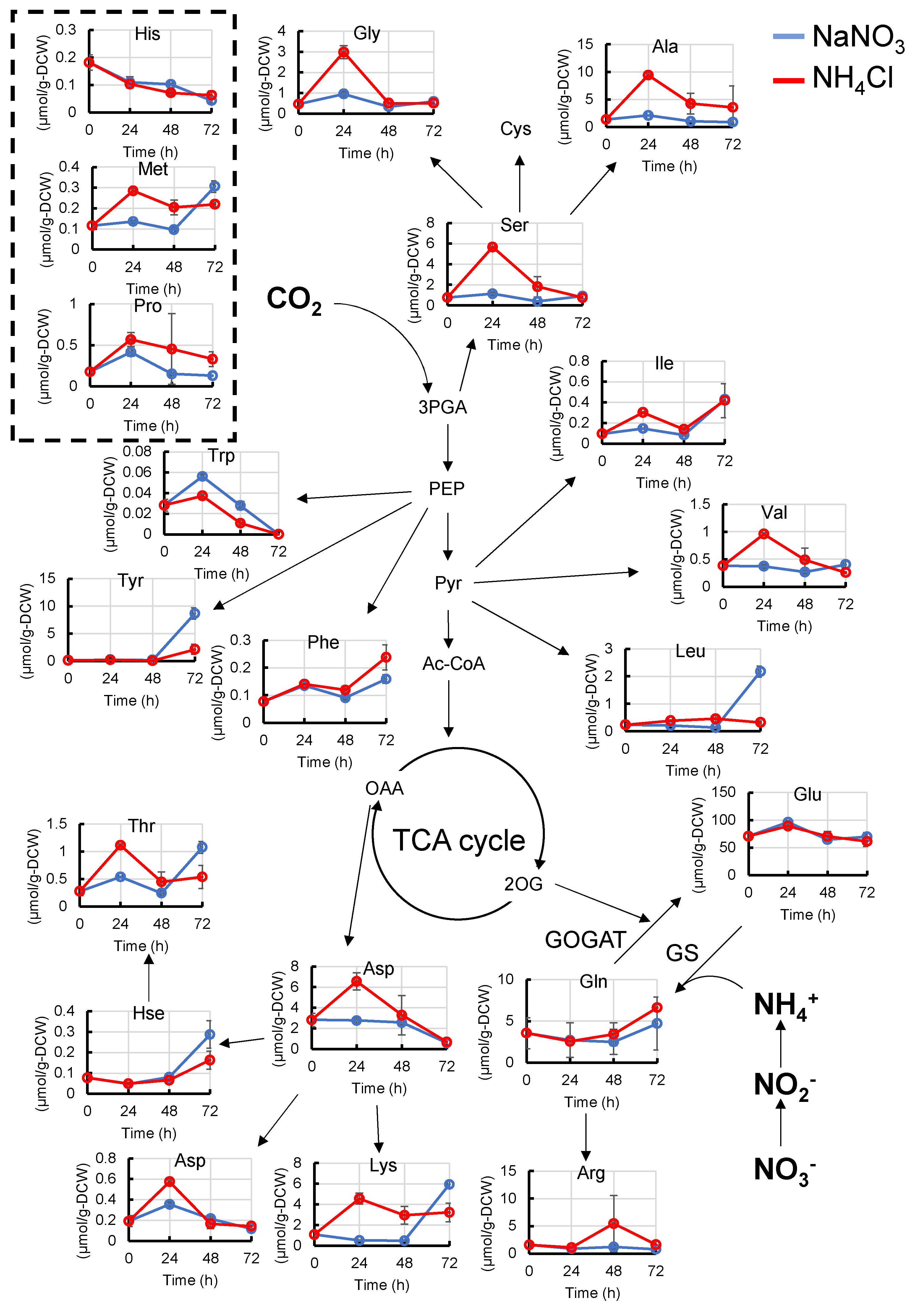 Metabolites 11 00867 g002