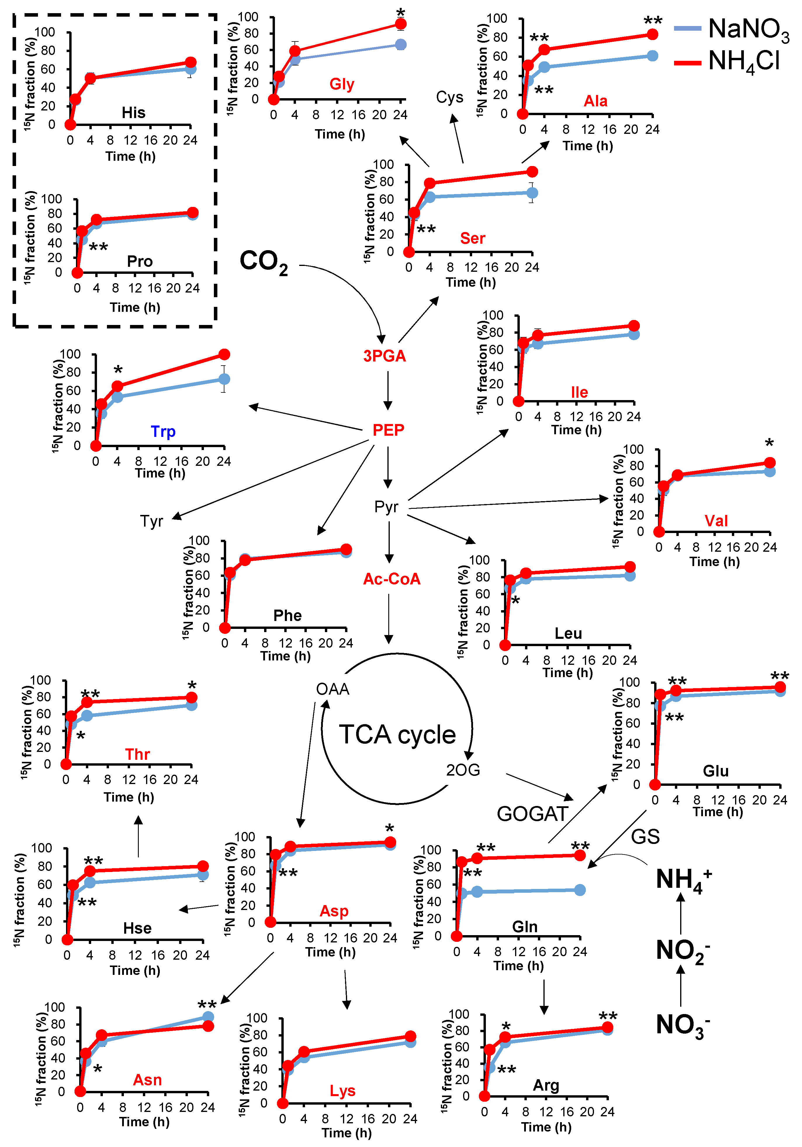 Metabolites 11 00867 g004