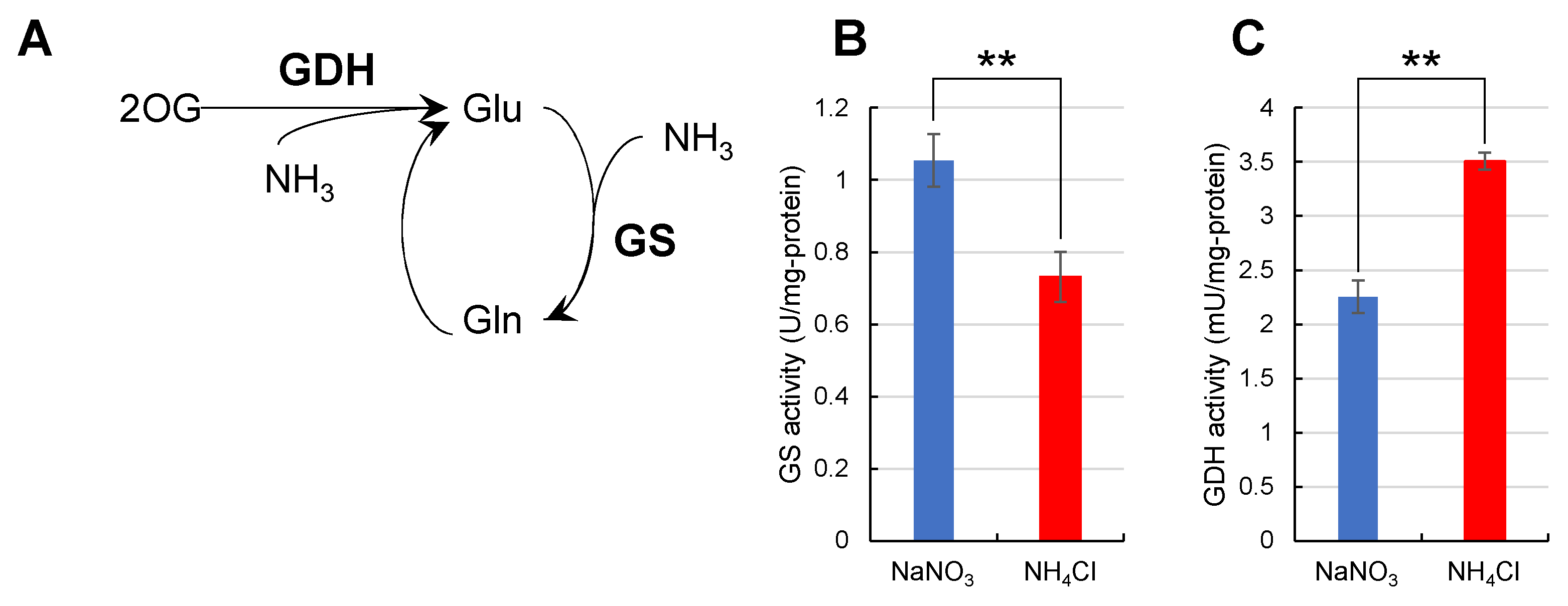 Metabolites 11 00867 g006