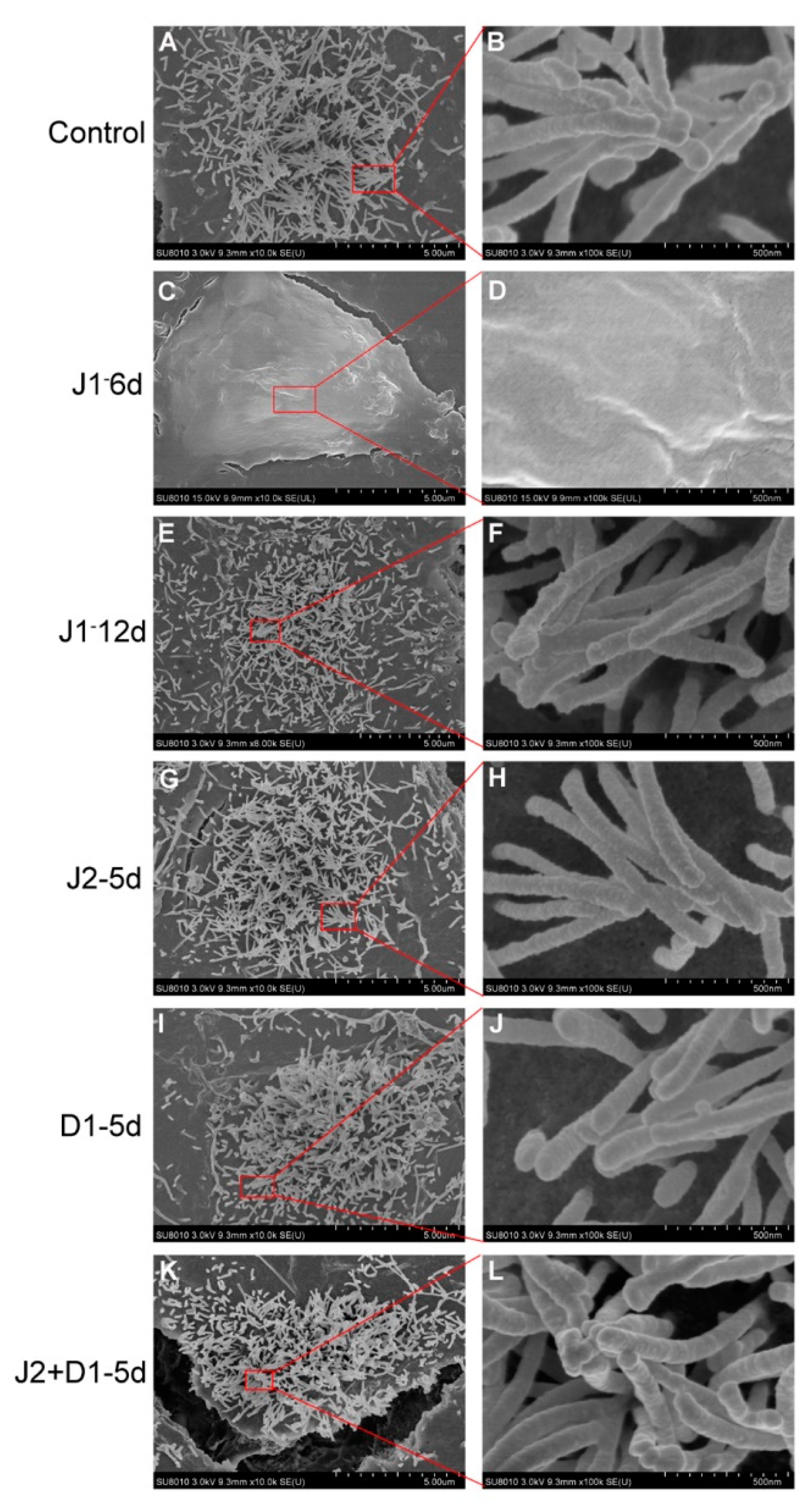 Metabolites 11 00873 g004