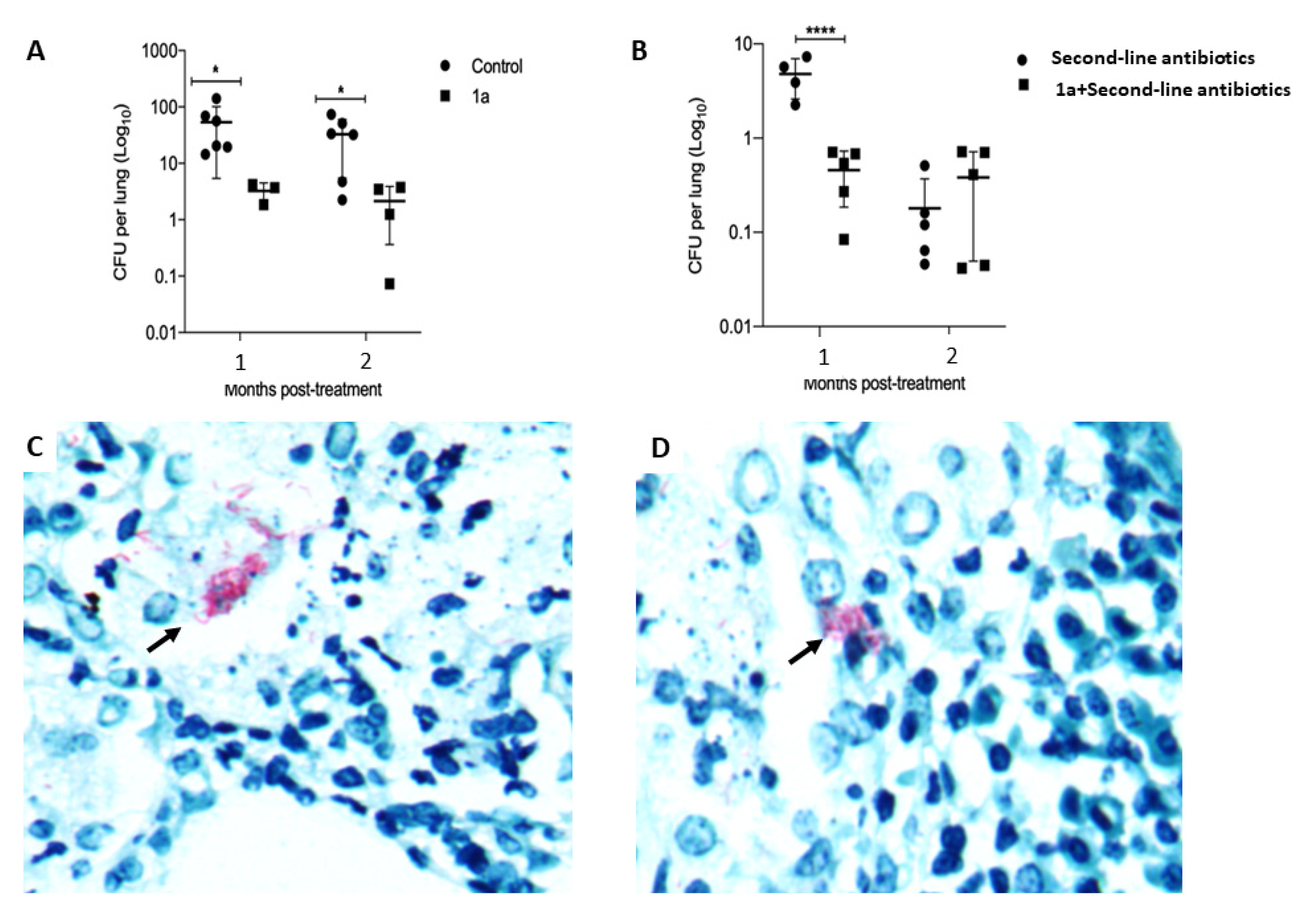 Metabolites 11 00876 g002