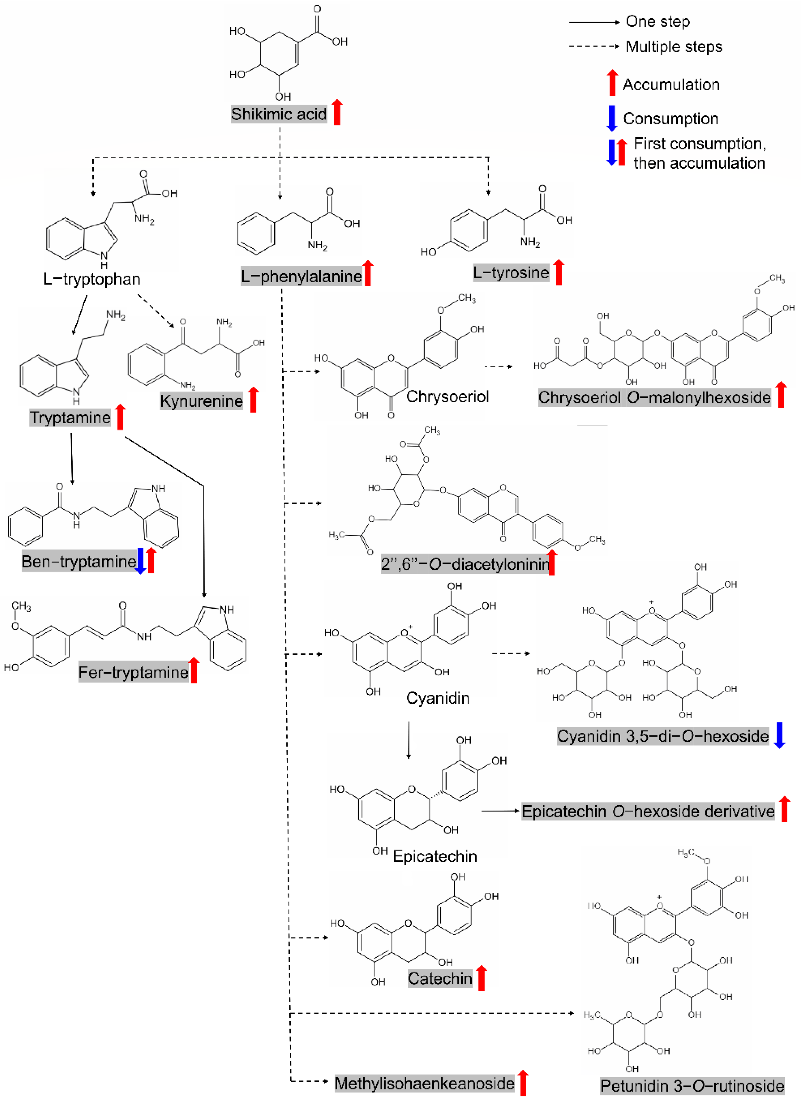 Metabolites 11 00880 g006 Metabolites 11 00880 g006