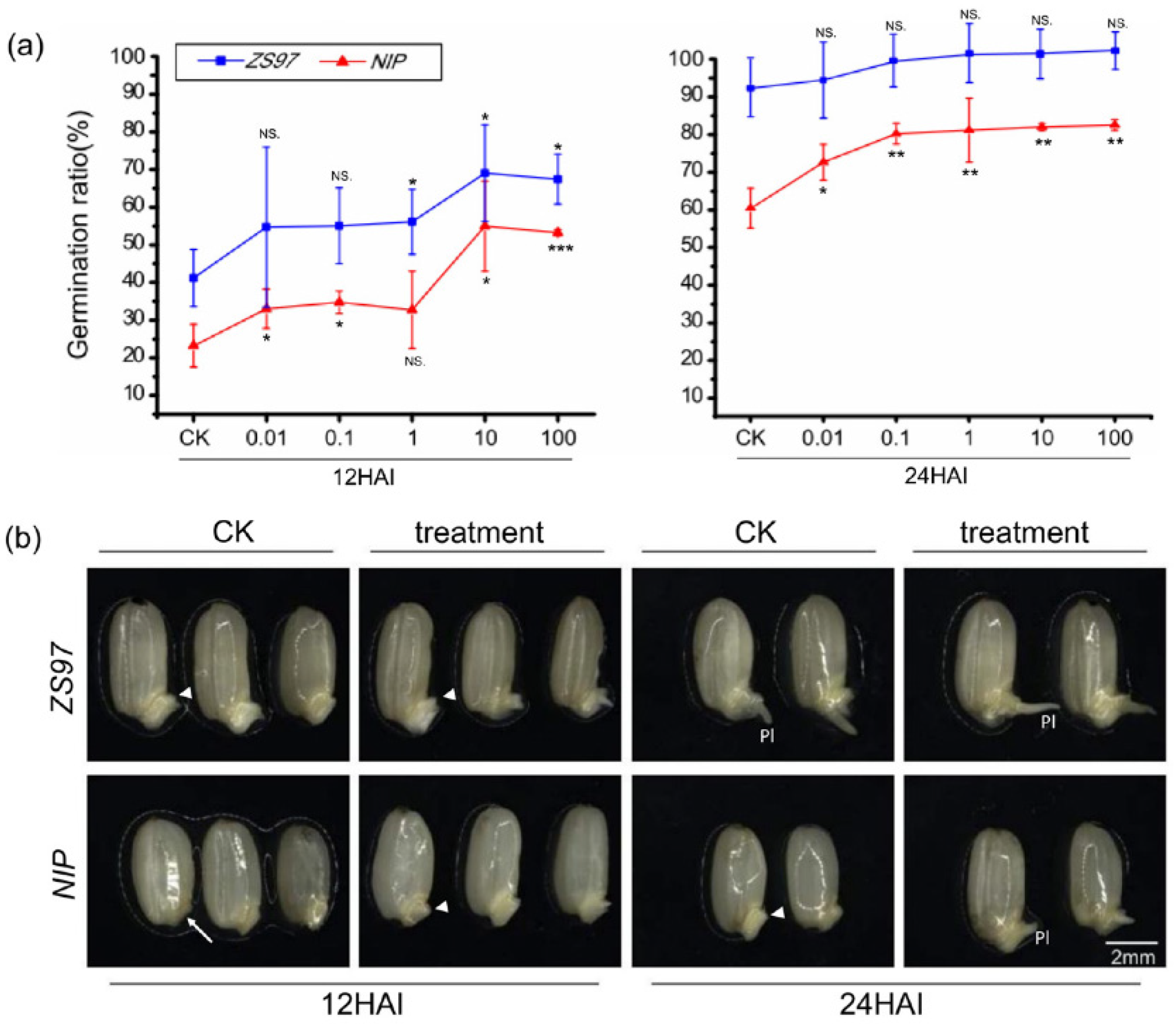 Metabolites 11 00880 g007 Metabolites 11 00880 g007