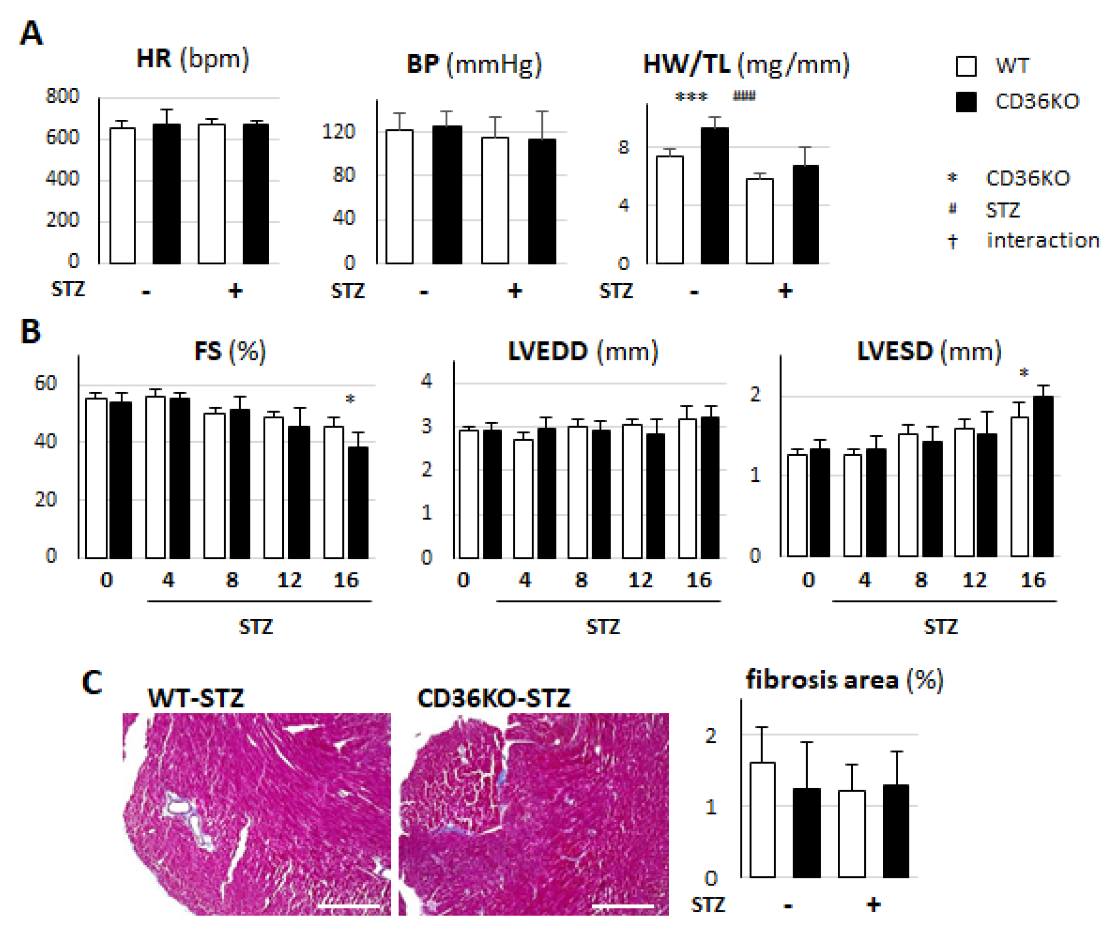 Metabolites 11 00881 g001 550