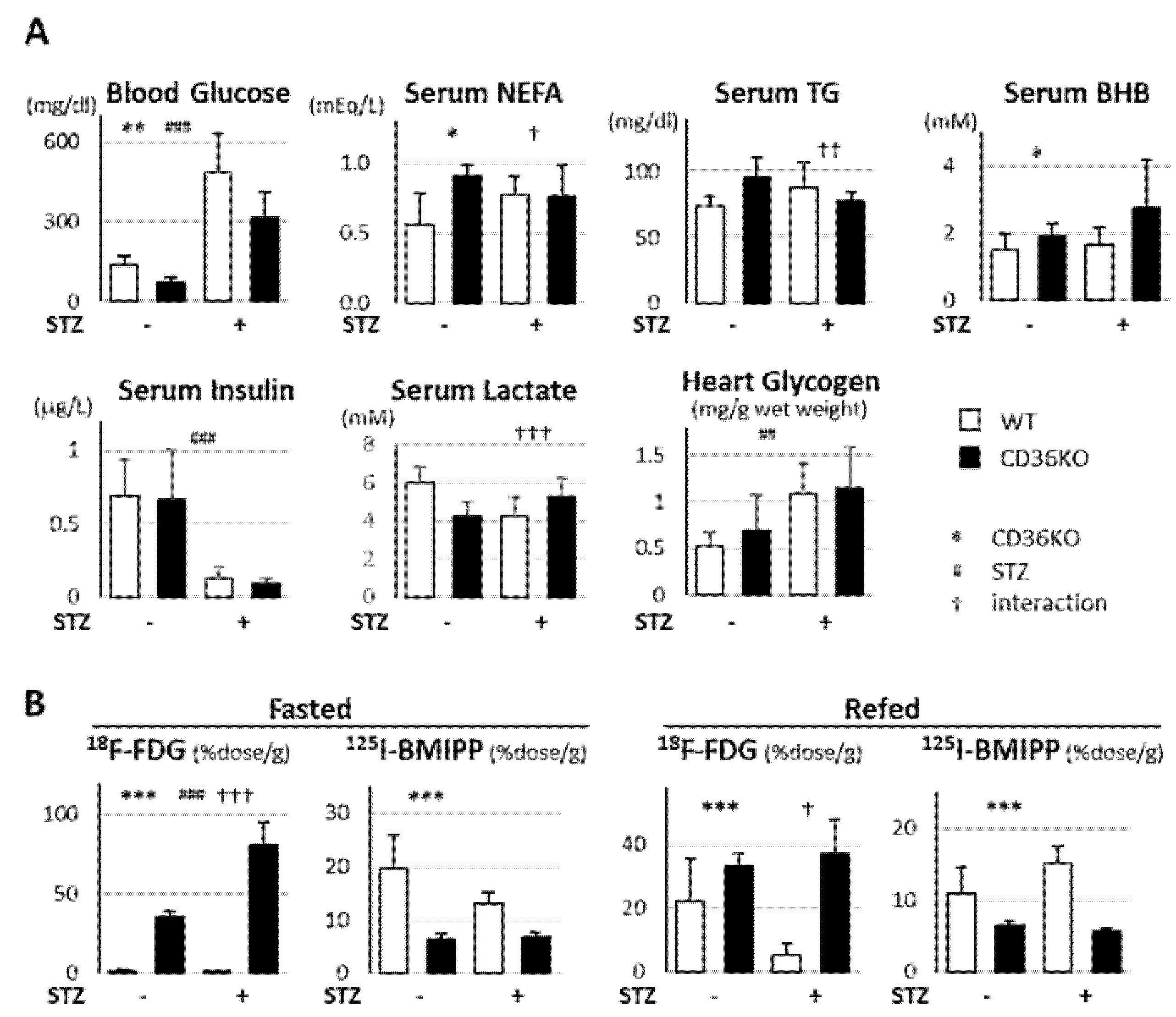 Metabolites 11 00881 g002 550