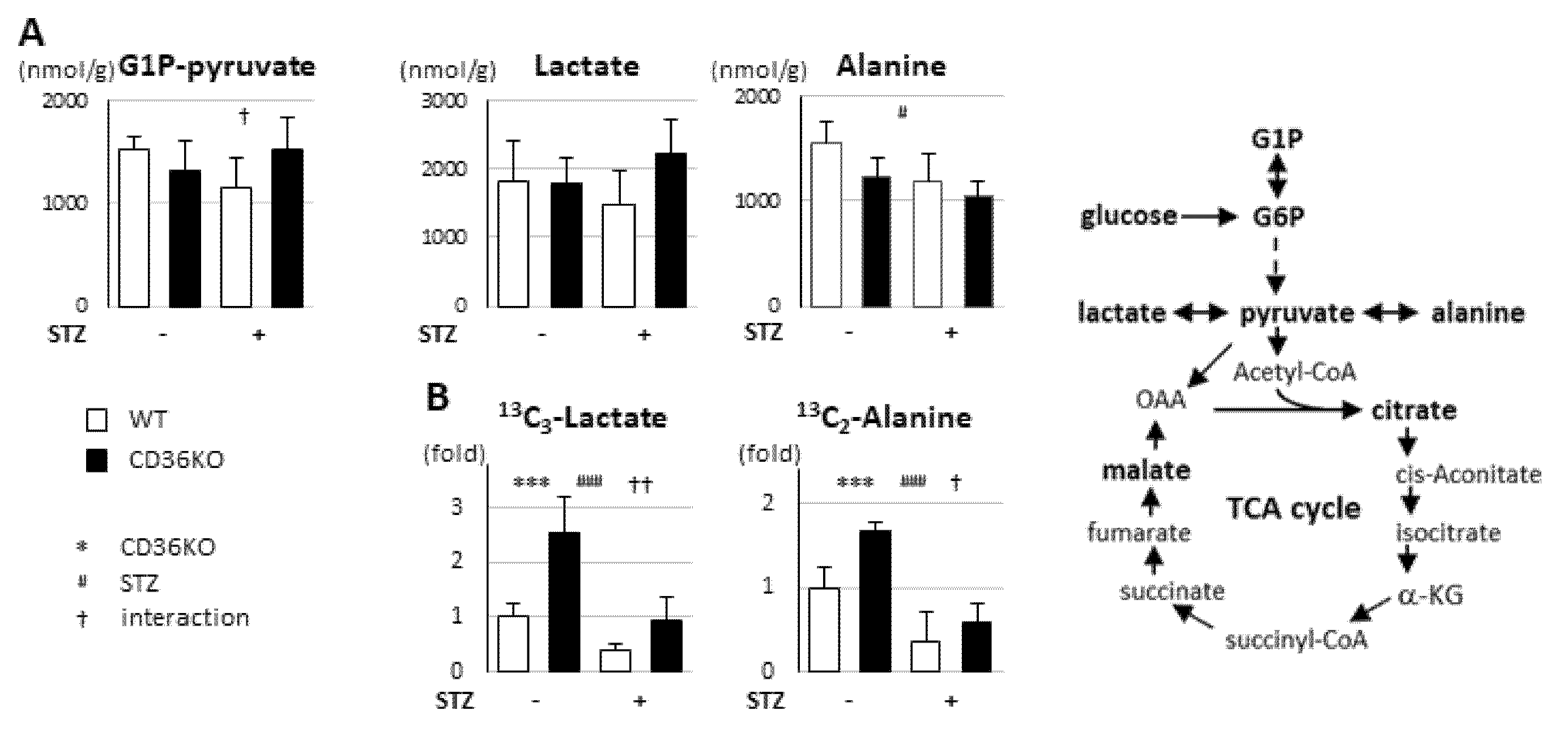 Metabolites 11 00881 g003 550