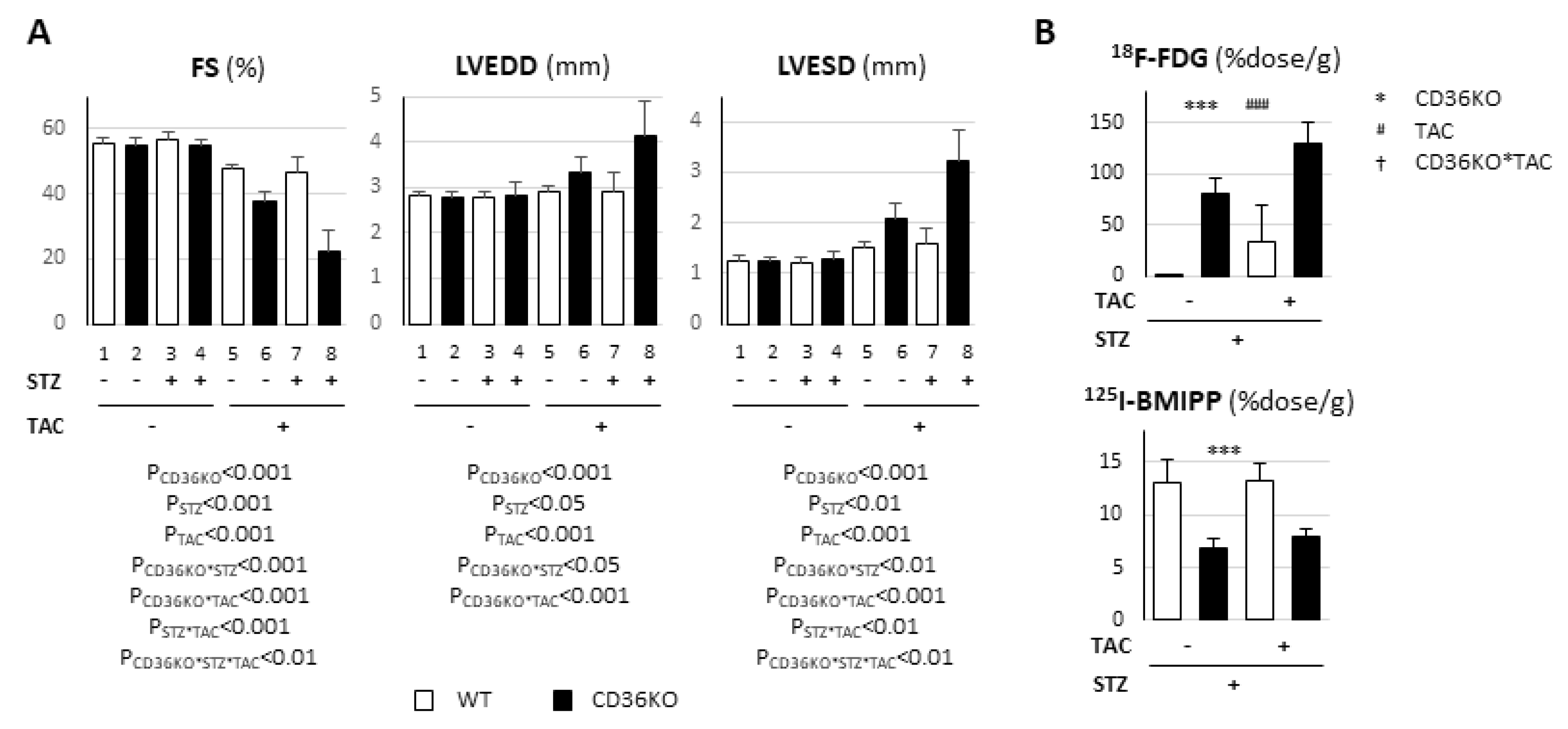 Metabolites 11 00881 g006 550