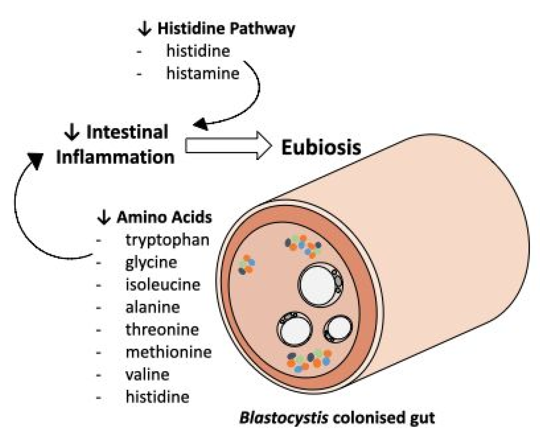 Metabolites 11 00883 g004 550