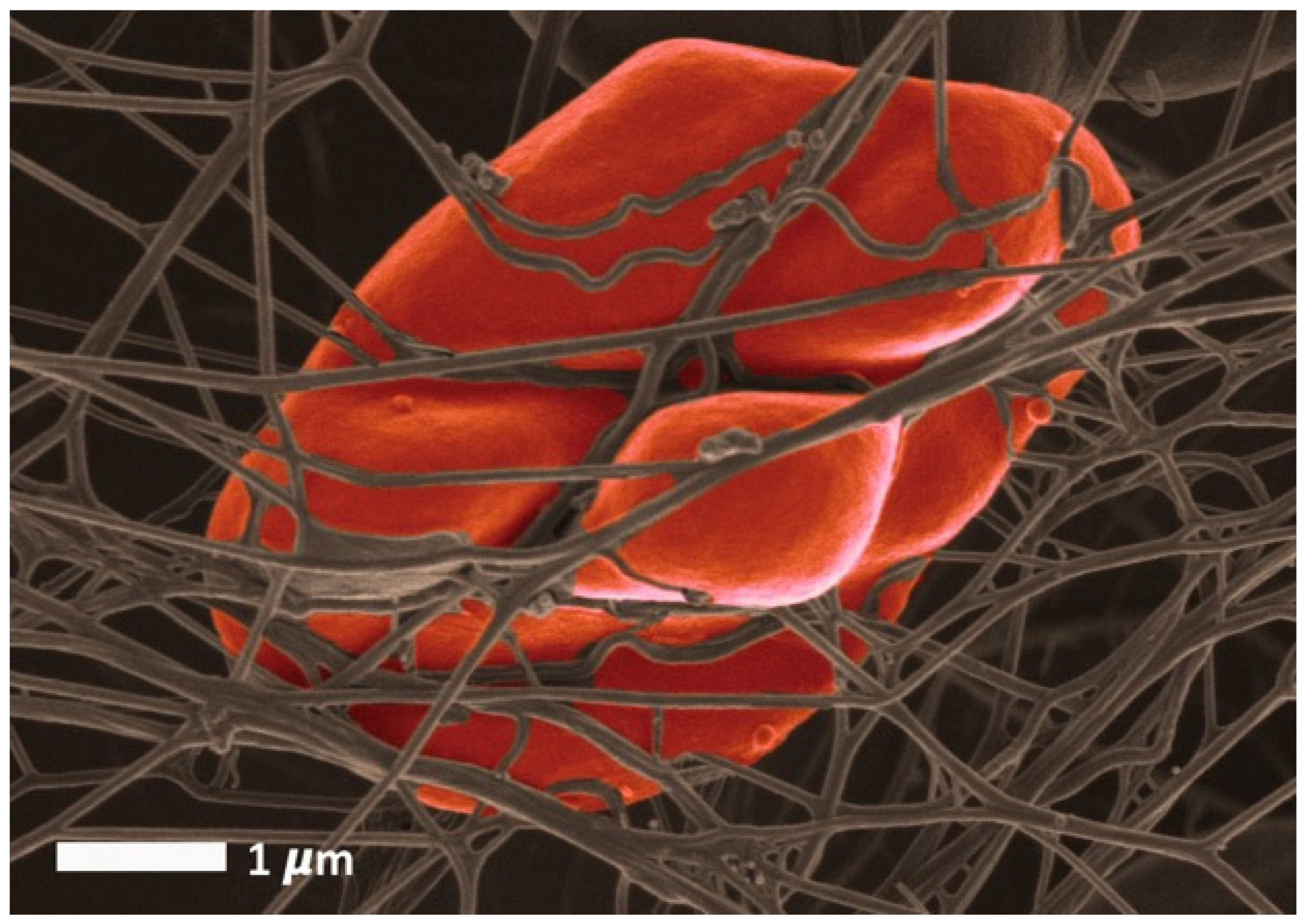 Metabolites 12 00004 g003