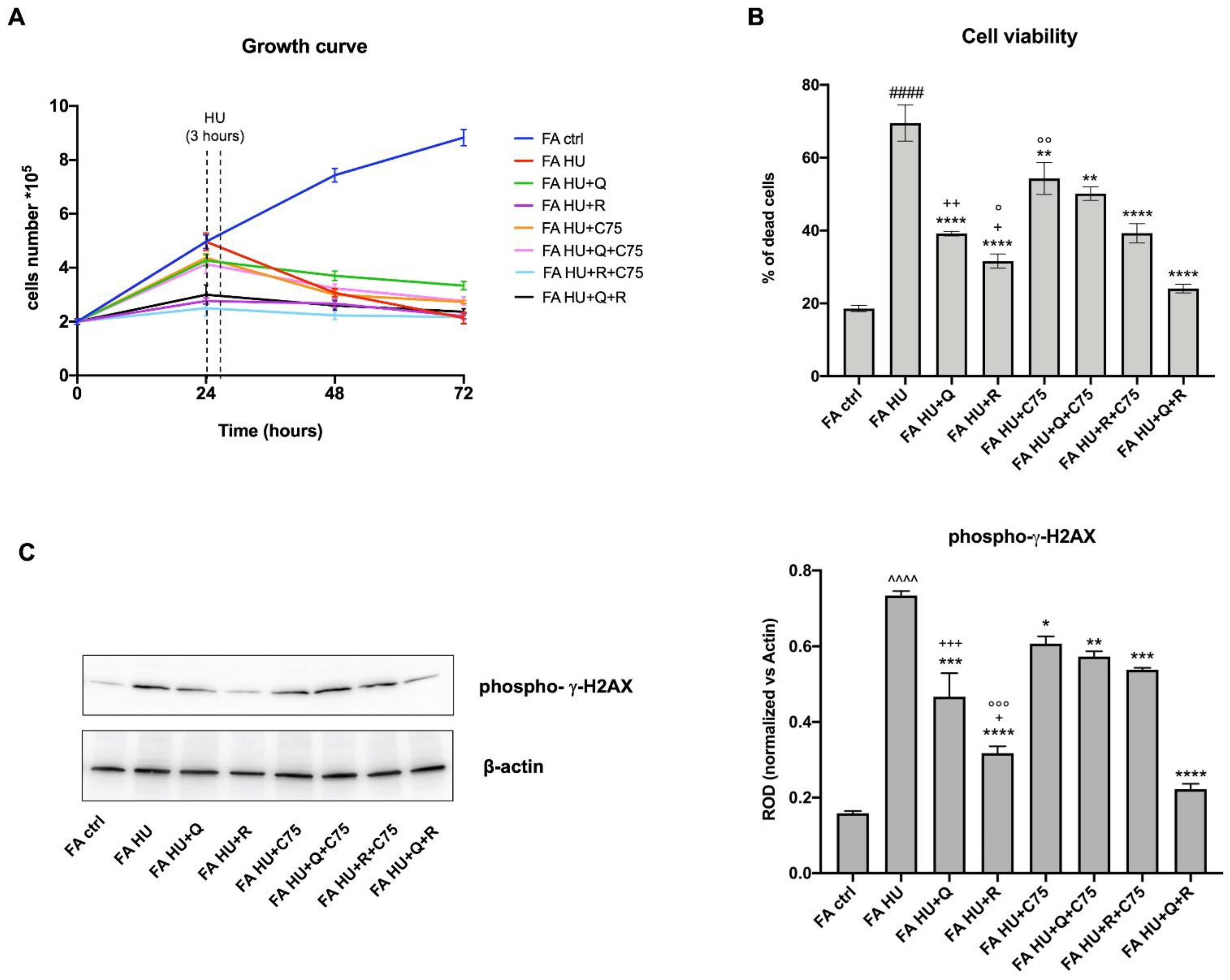 Metabolites 12 00006 g007