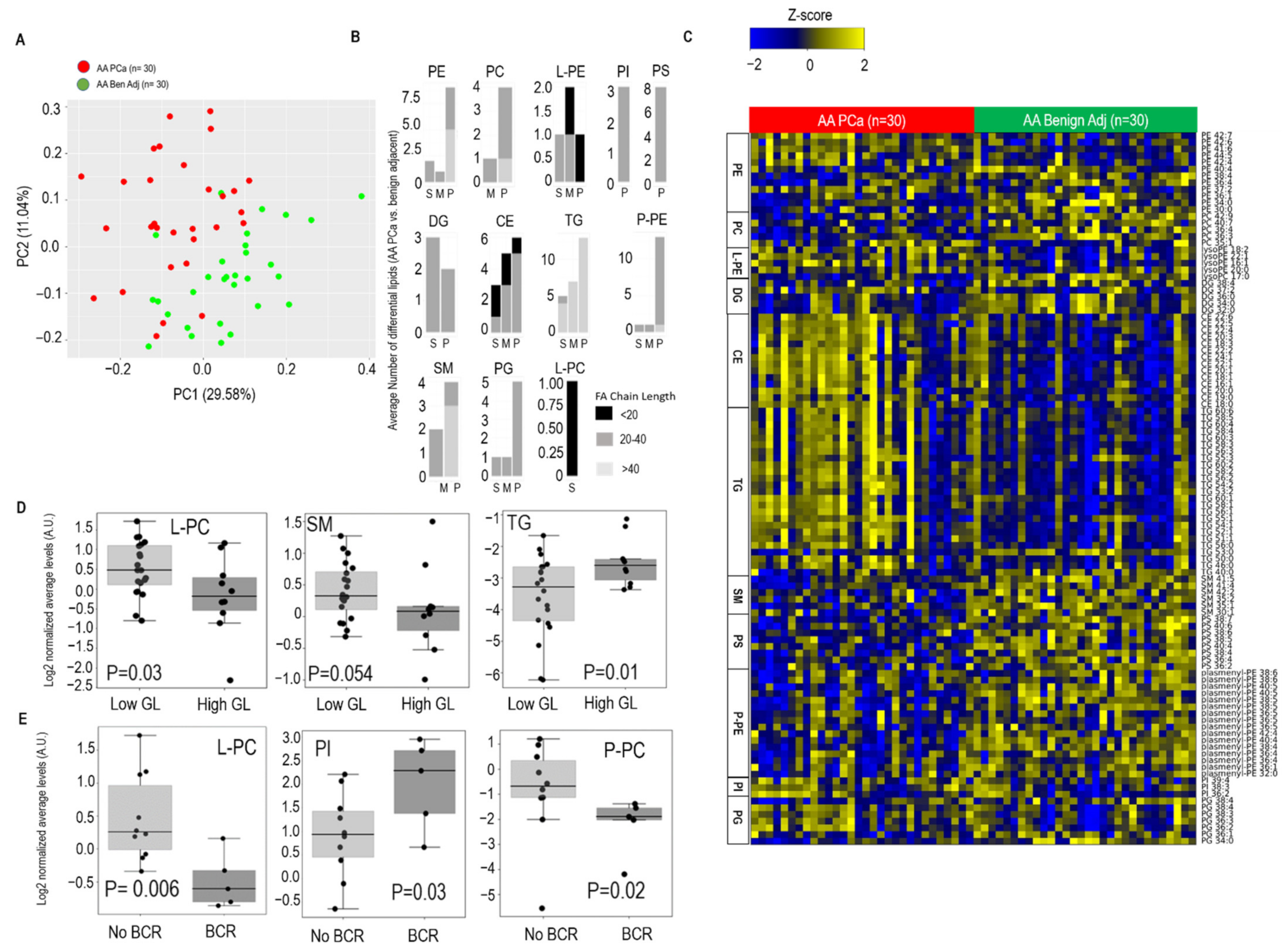 Metabolites 12 00008 g001 550