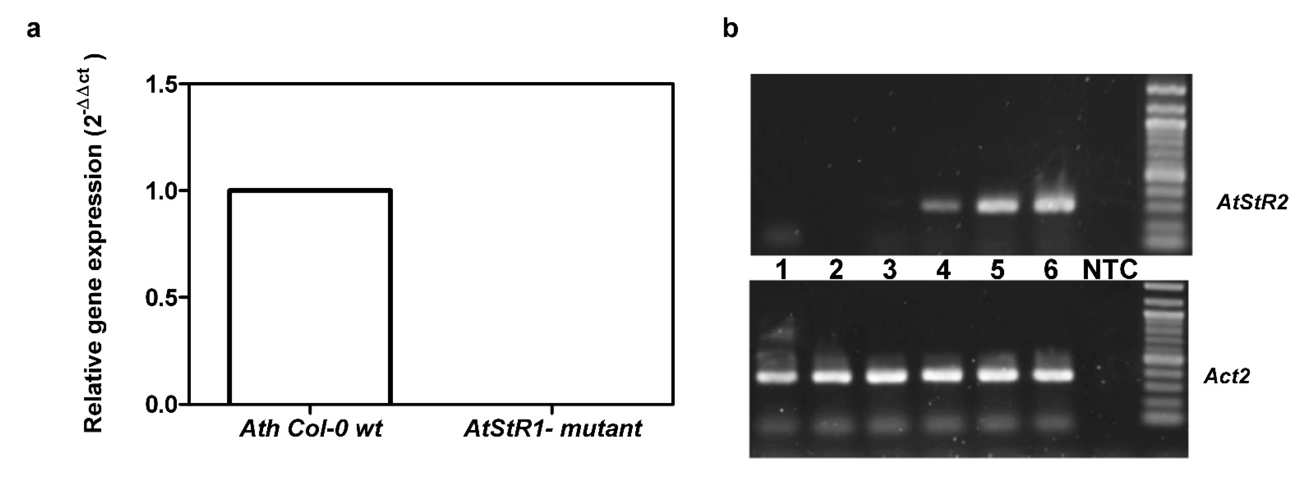 Metabolites 12 00011 g004 550