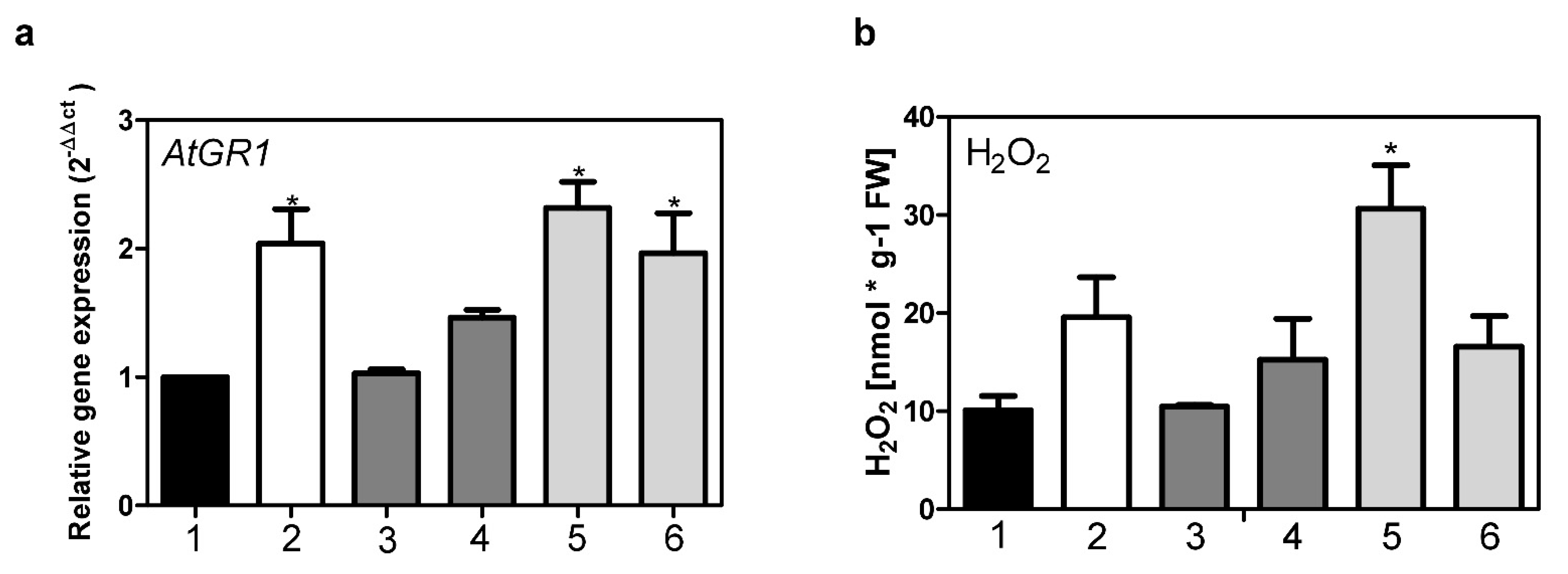 Metabolites 12 00011 g006 550