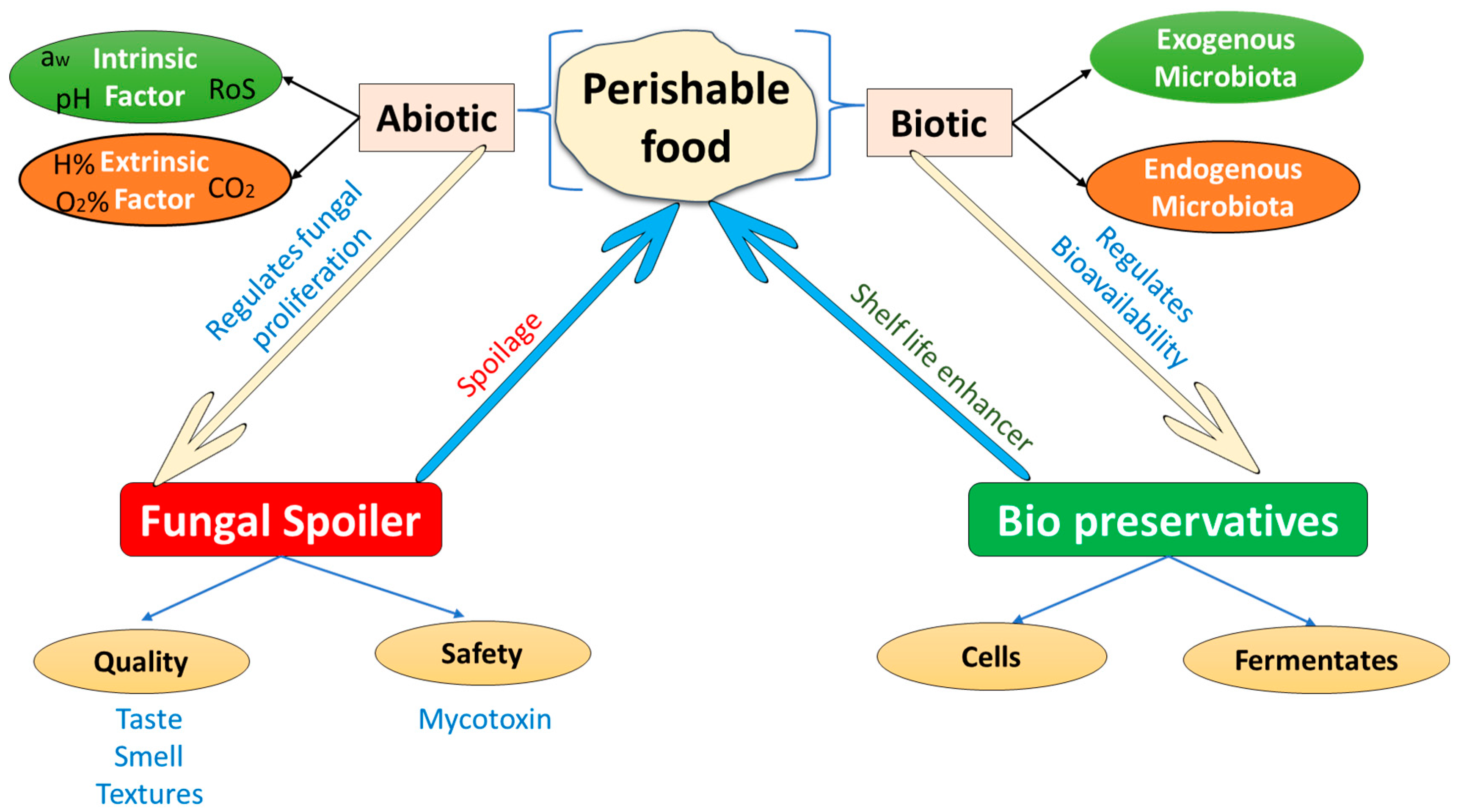 PDF) Antifungal activity of volatile compounds generated by essential oils  against fungi commonly causing deterioration of bakery products