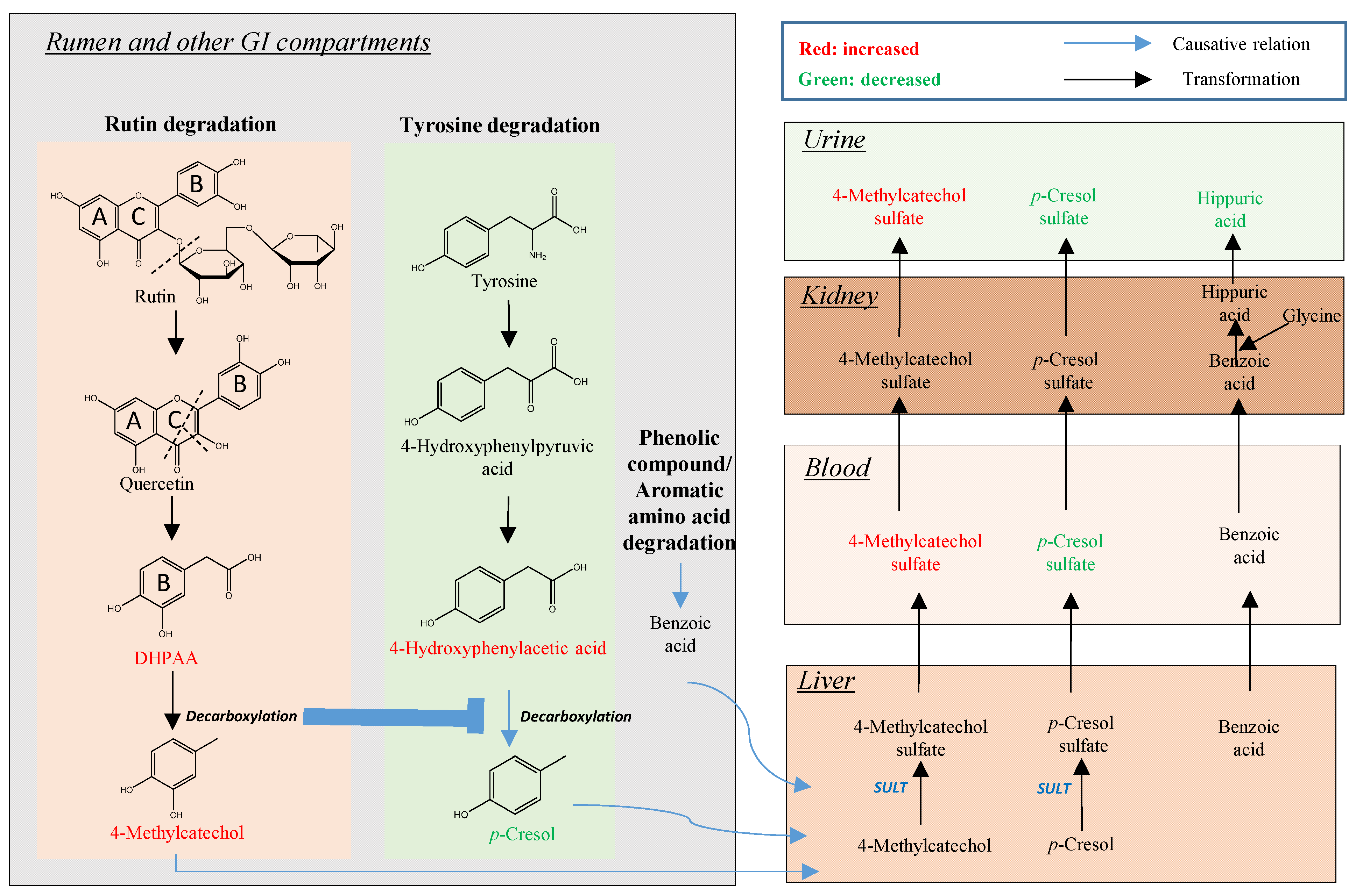 Metabolites 12 00016 g007