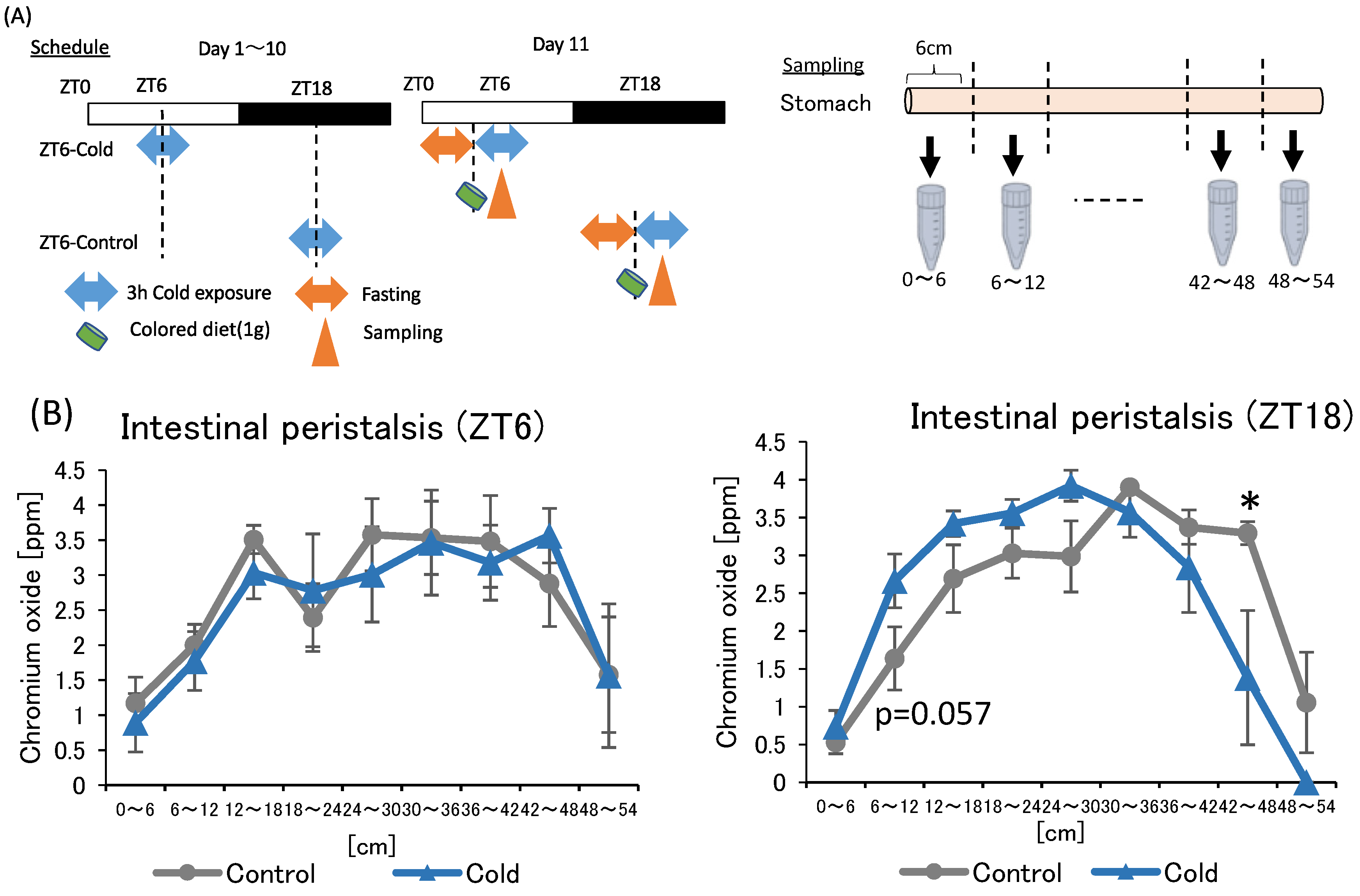 Metabolites 12 00020 g005 550
