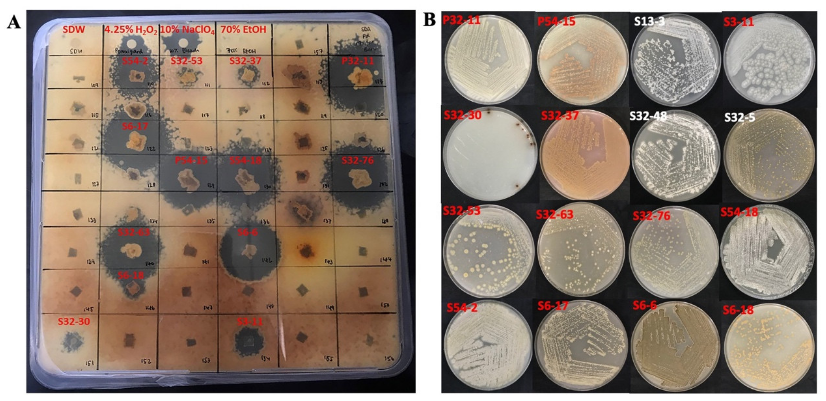 Metabolites 12 00022 g005 Metabolites 12 00022 g005