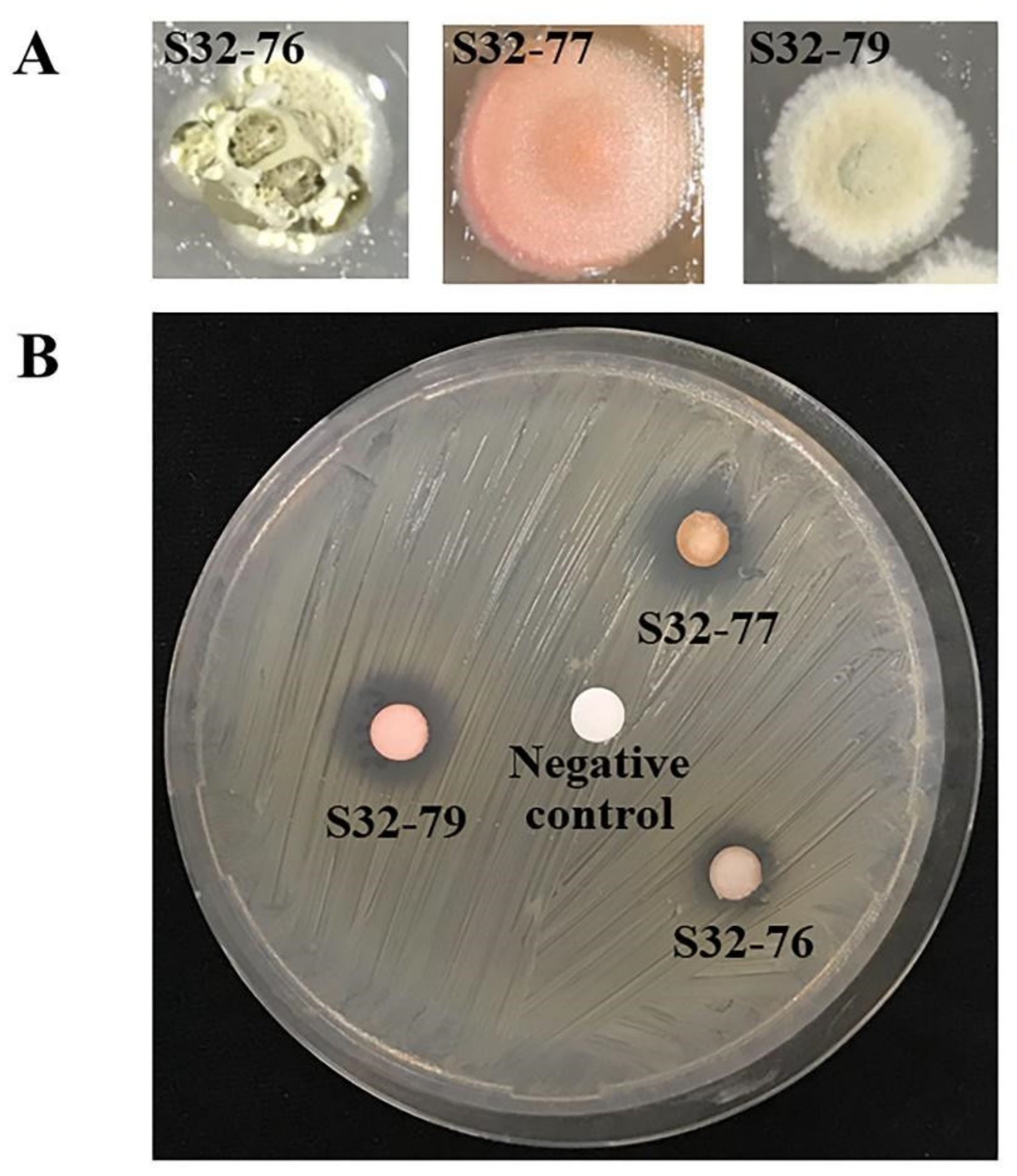 Metabolites 12 00022 g007 Metabolites 12 00022 g007