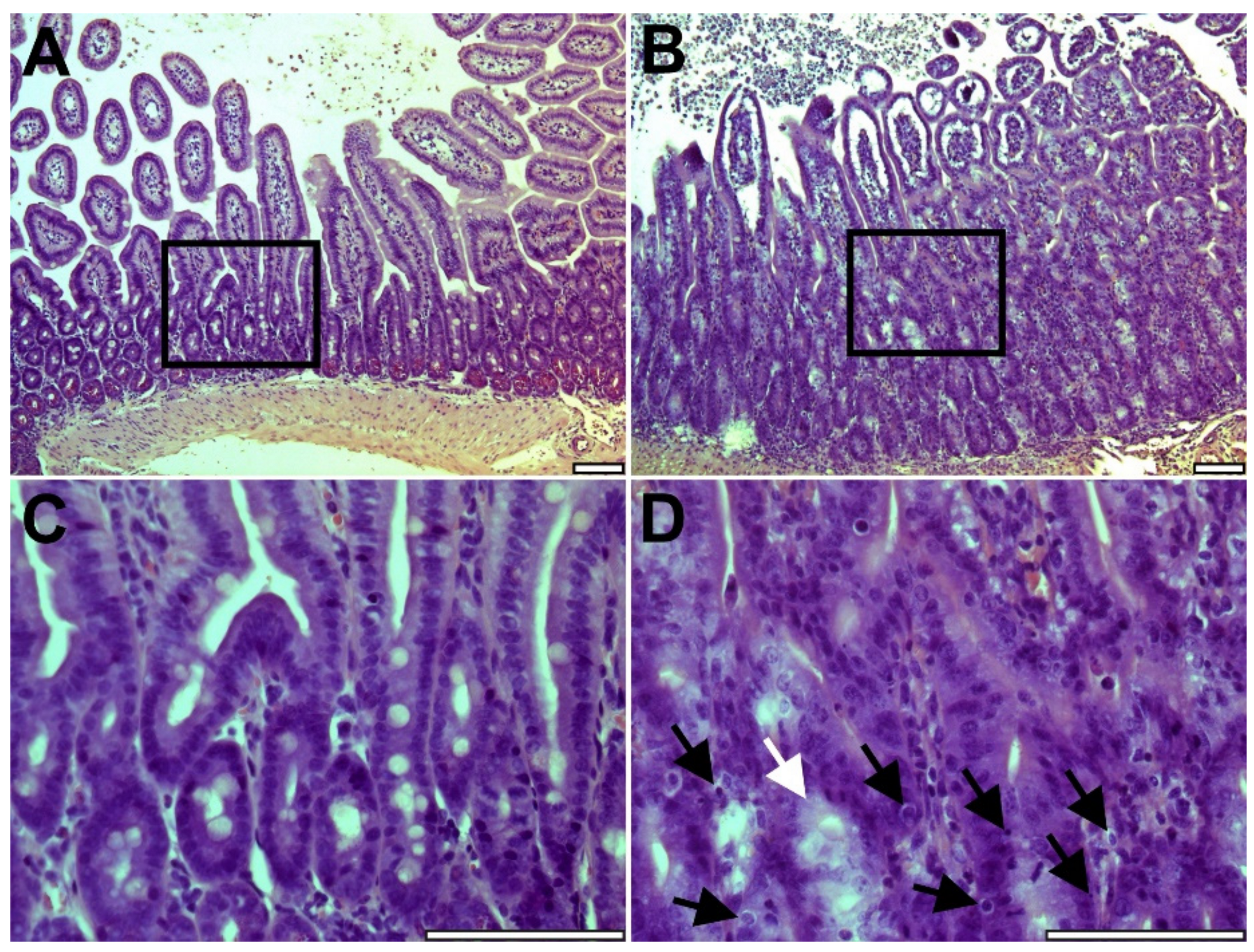 Metabolites 12 00023 g001