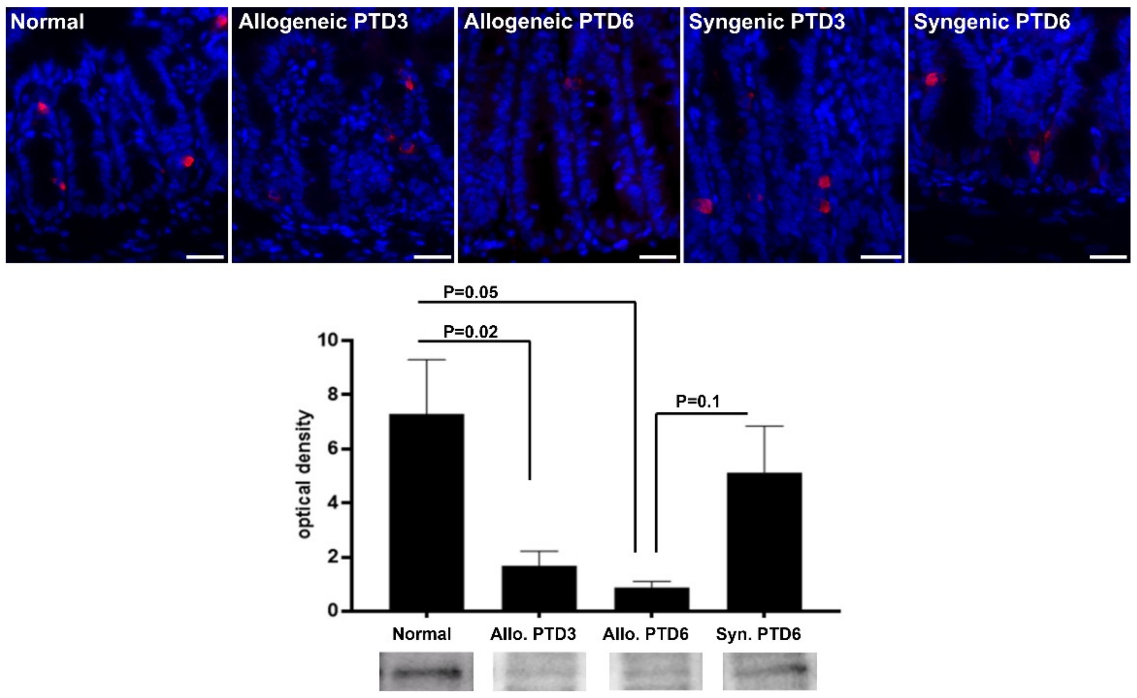 Metabolites 12 00023 g004