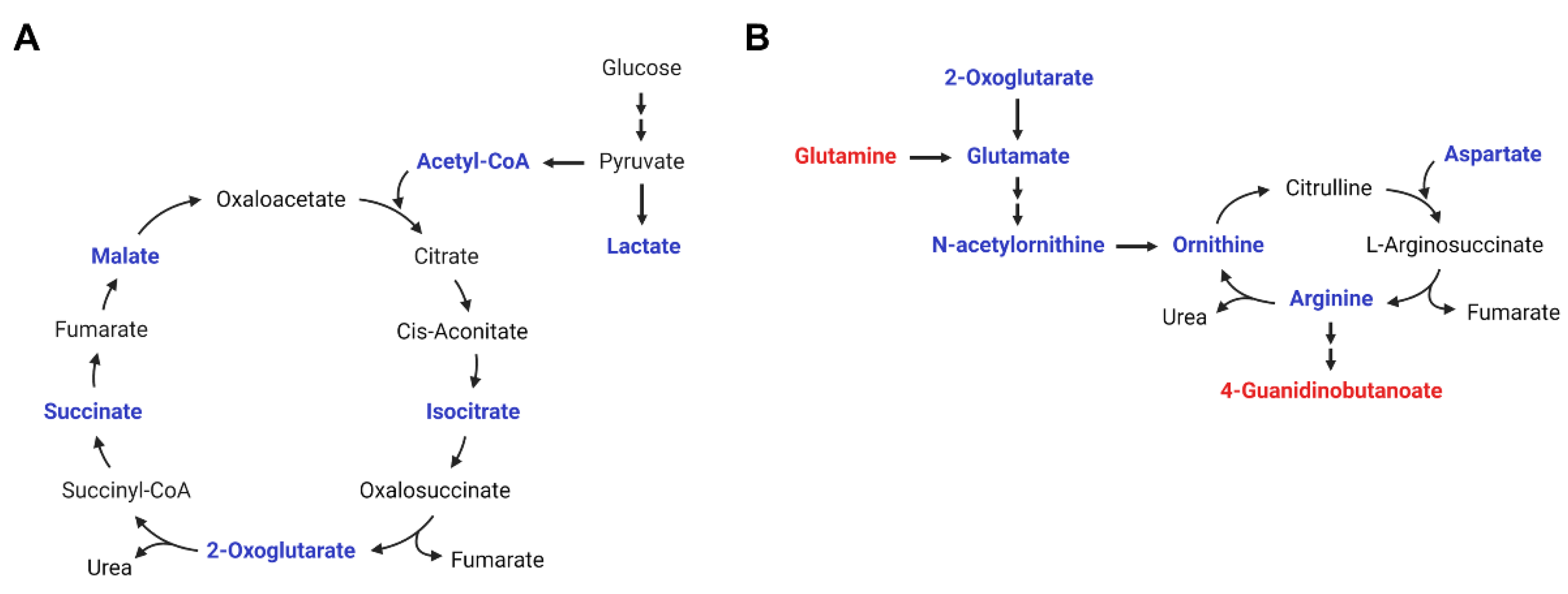 Metabolites 12 00027 g004