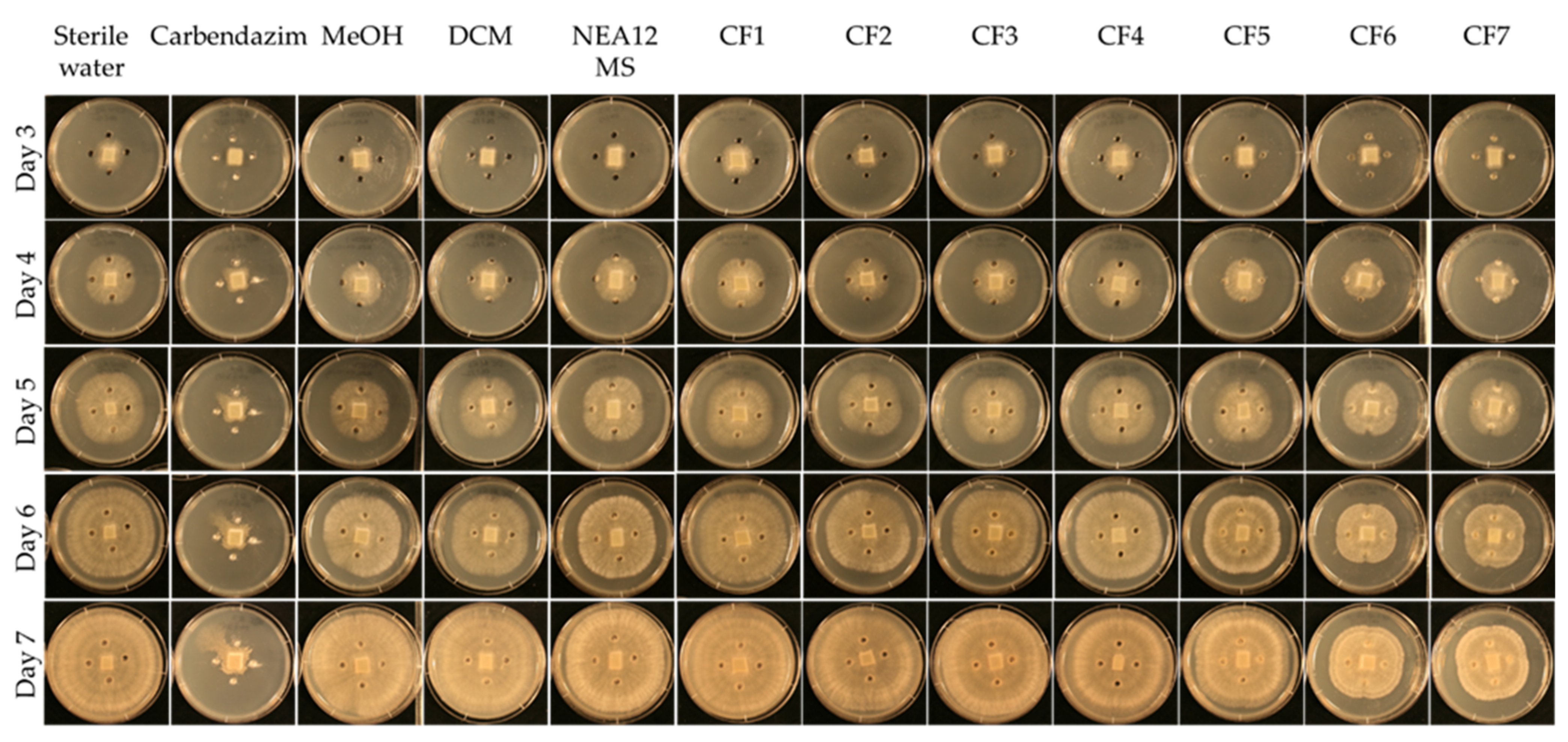 Metabolites 12 00037 g002 Metabolites 12 00037 g002