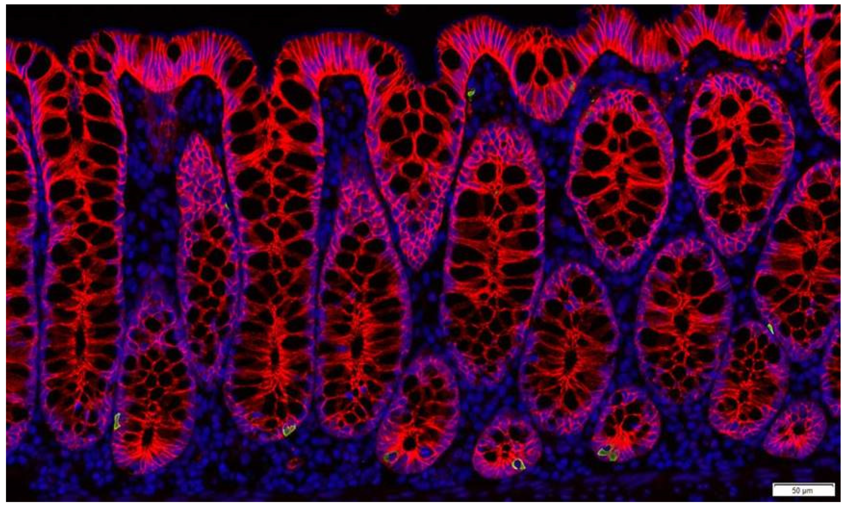 Metabolites 12 00039 g002