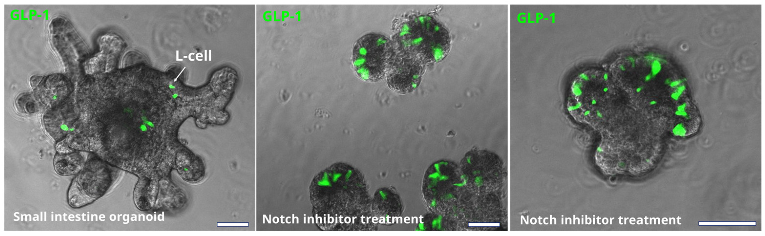 Metabolites 12 00039 g003