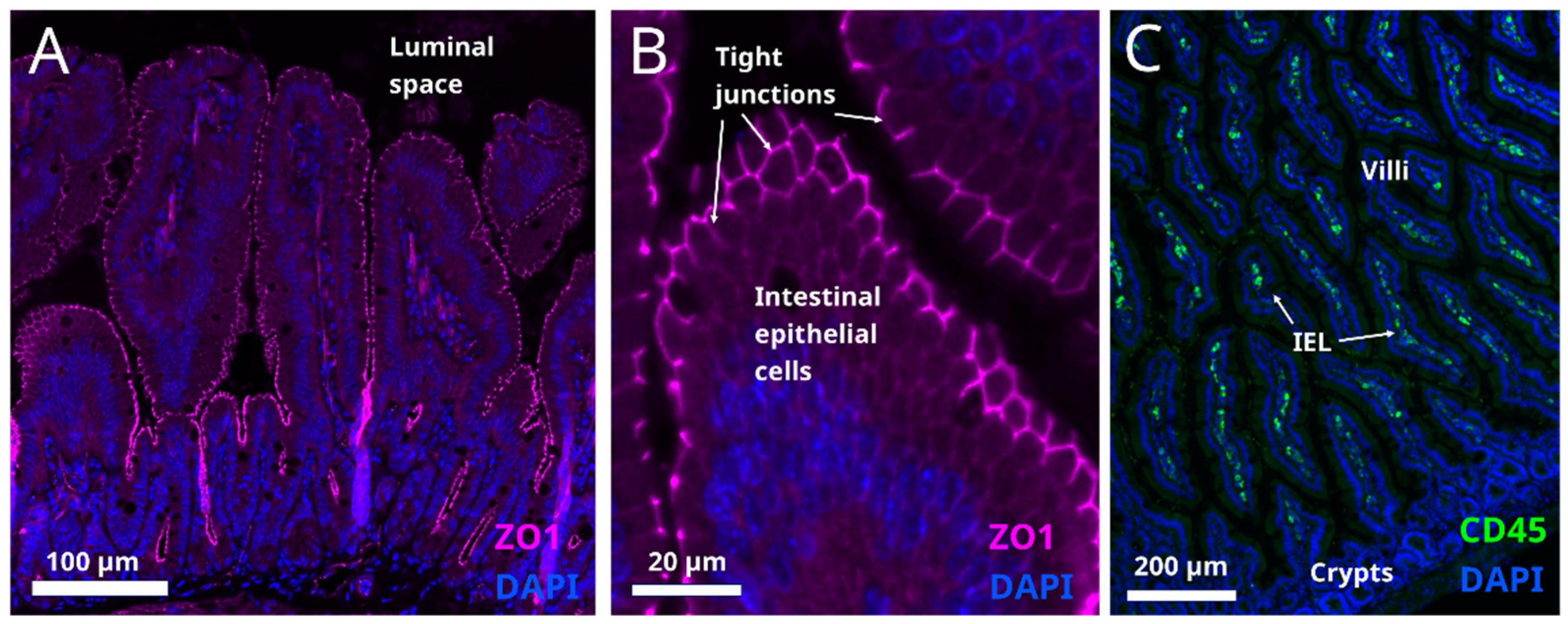 Metabolites 12 00039 g004