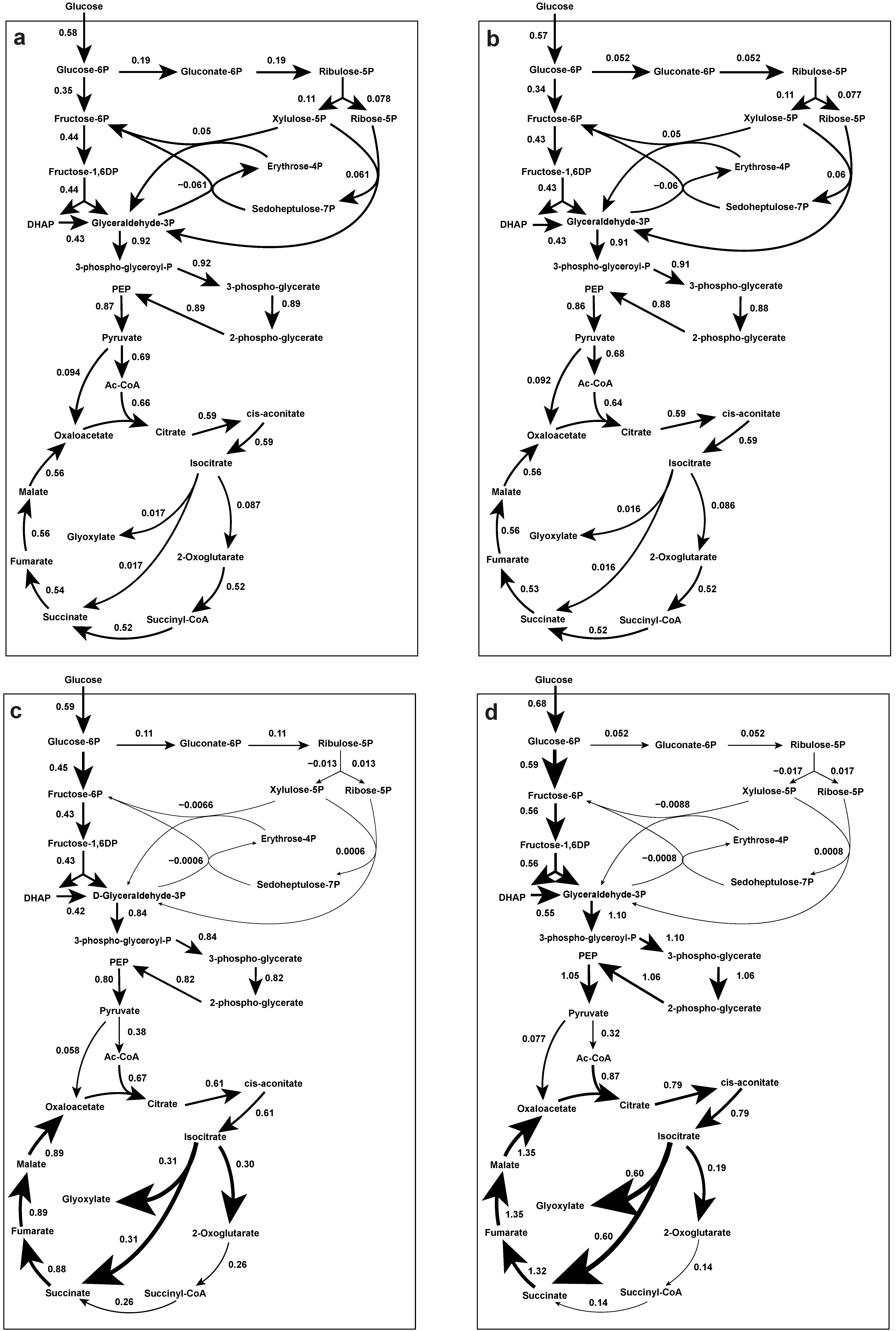 Metabolites 12 00045 g009 550