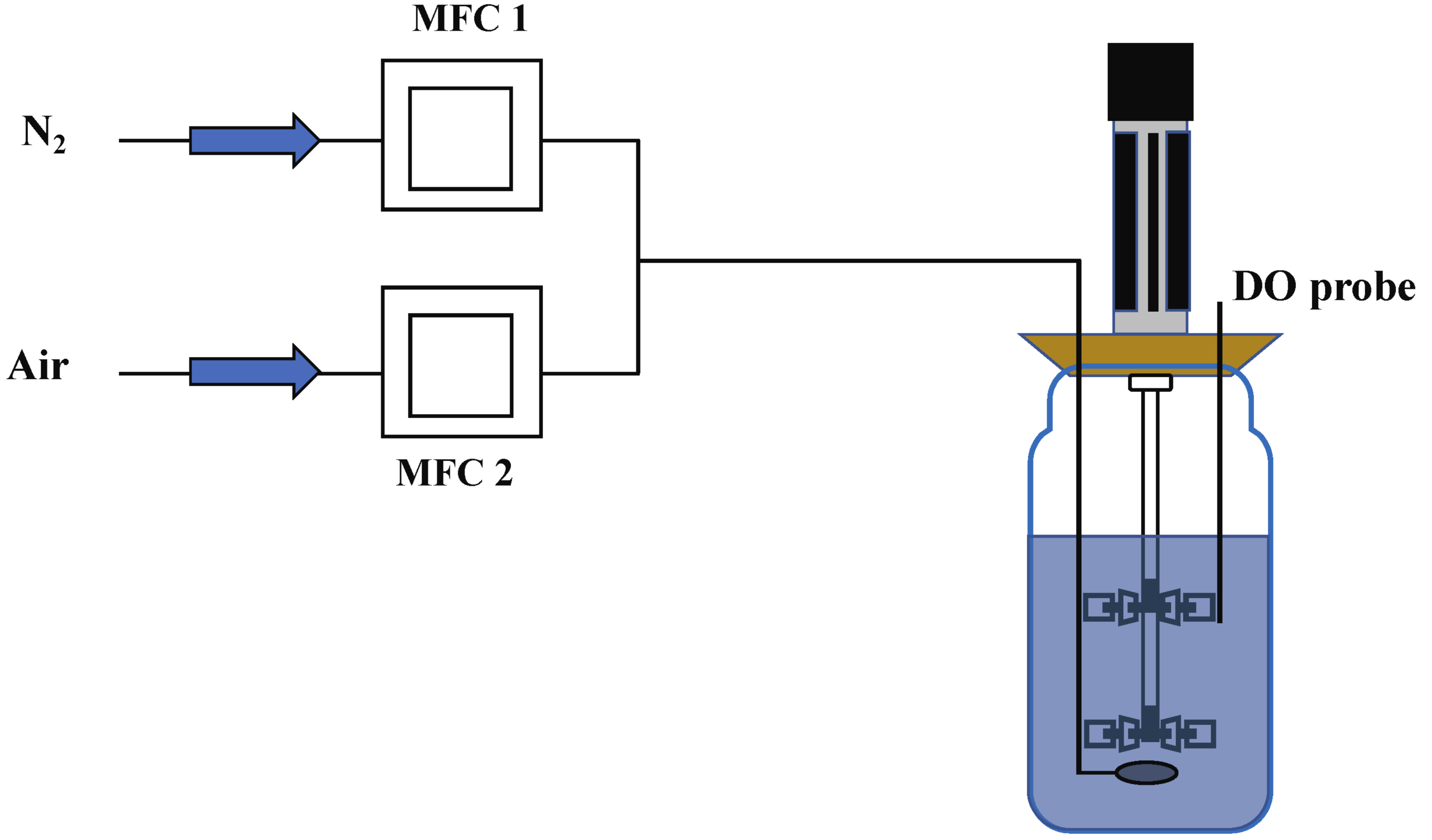 Metabolites 12 00045 g018 550