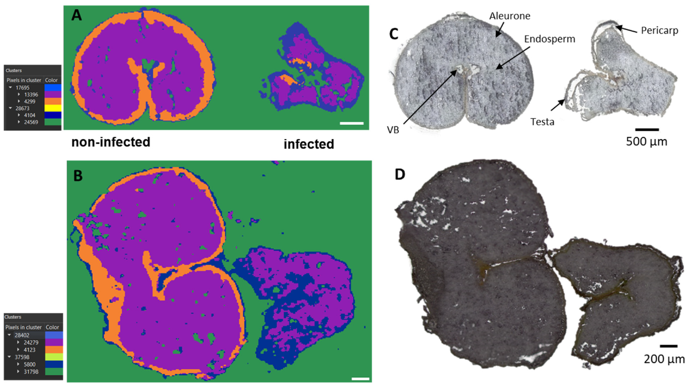 Metabolites 12 00048 g001