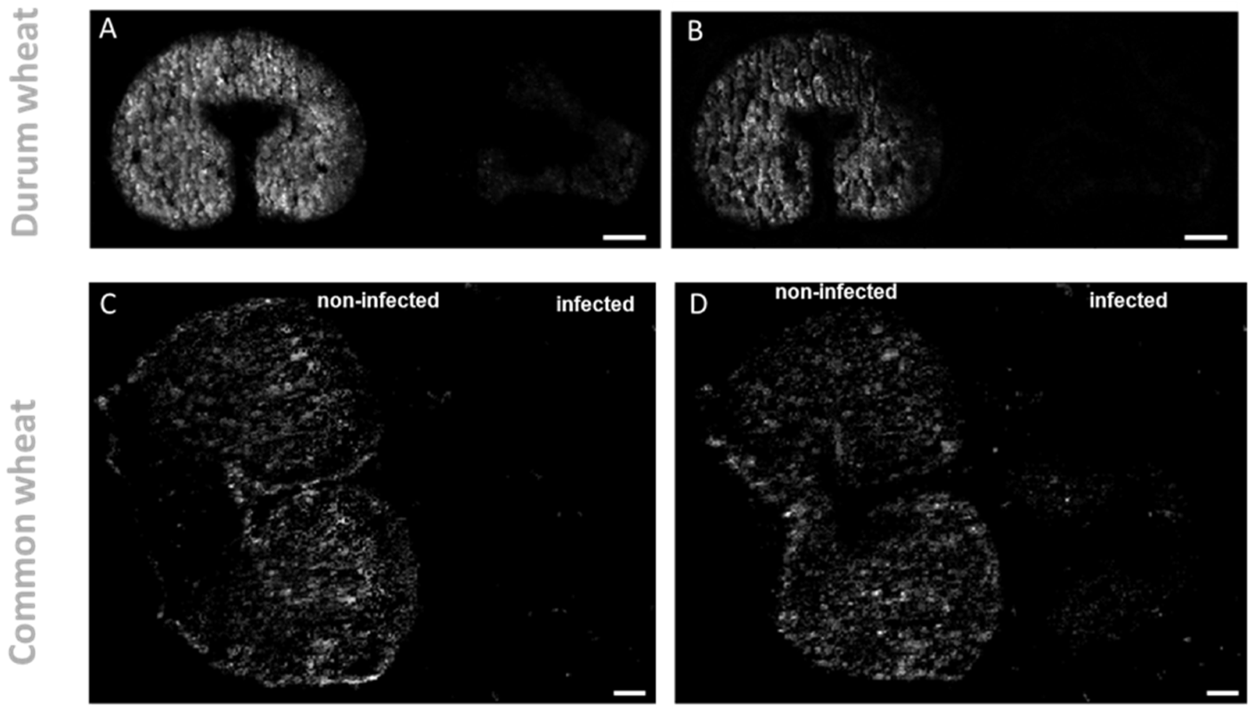 Metabolites 12 00048 g003
